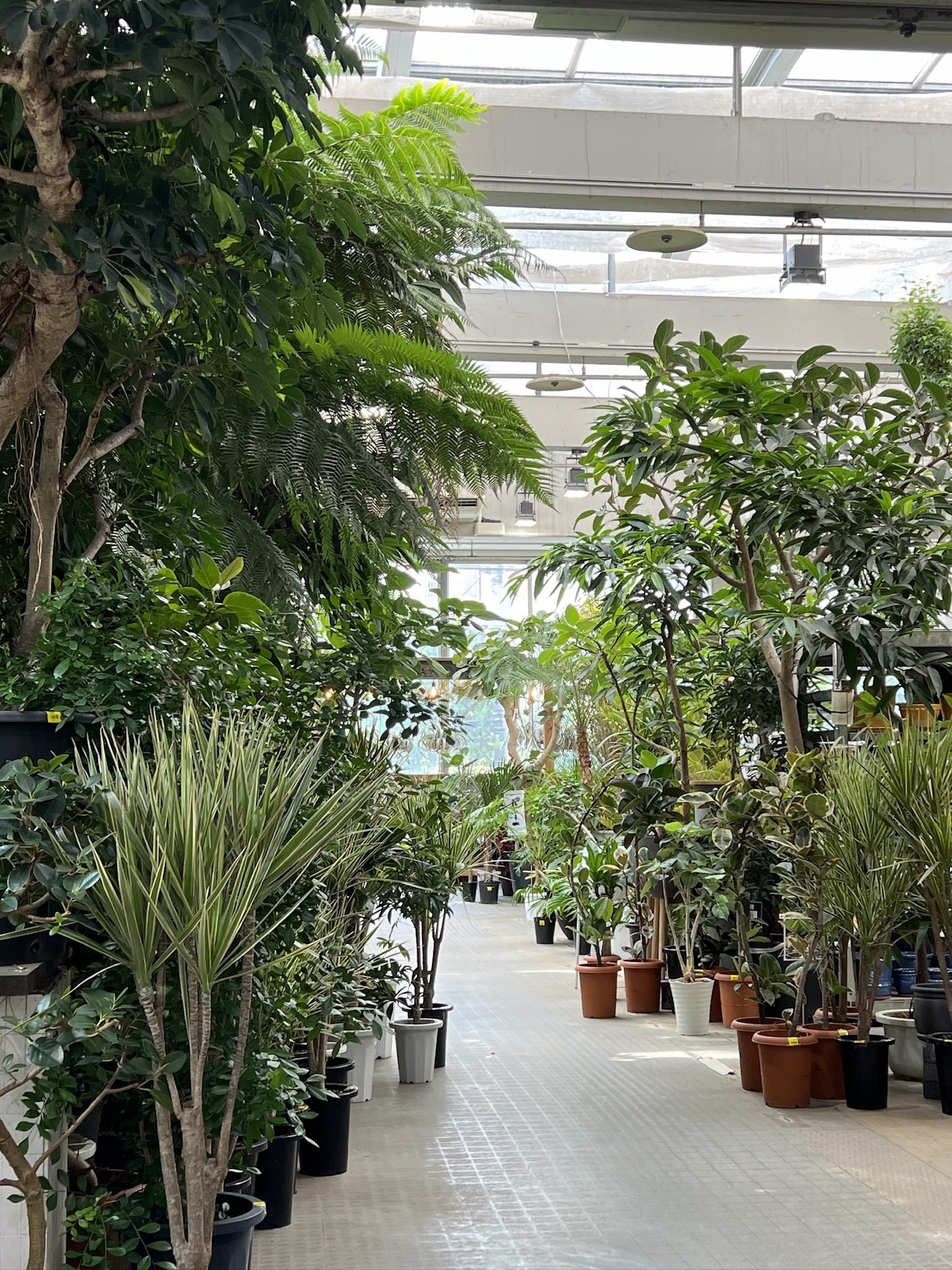 オザキフラワーパークに行ってみた。｜Ms'HIRO