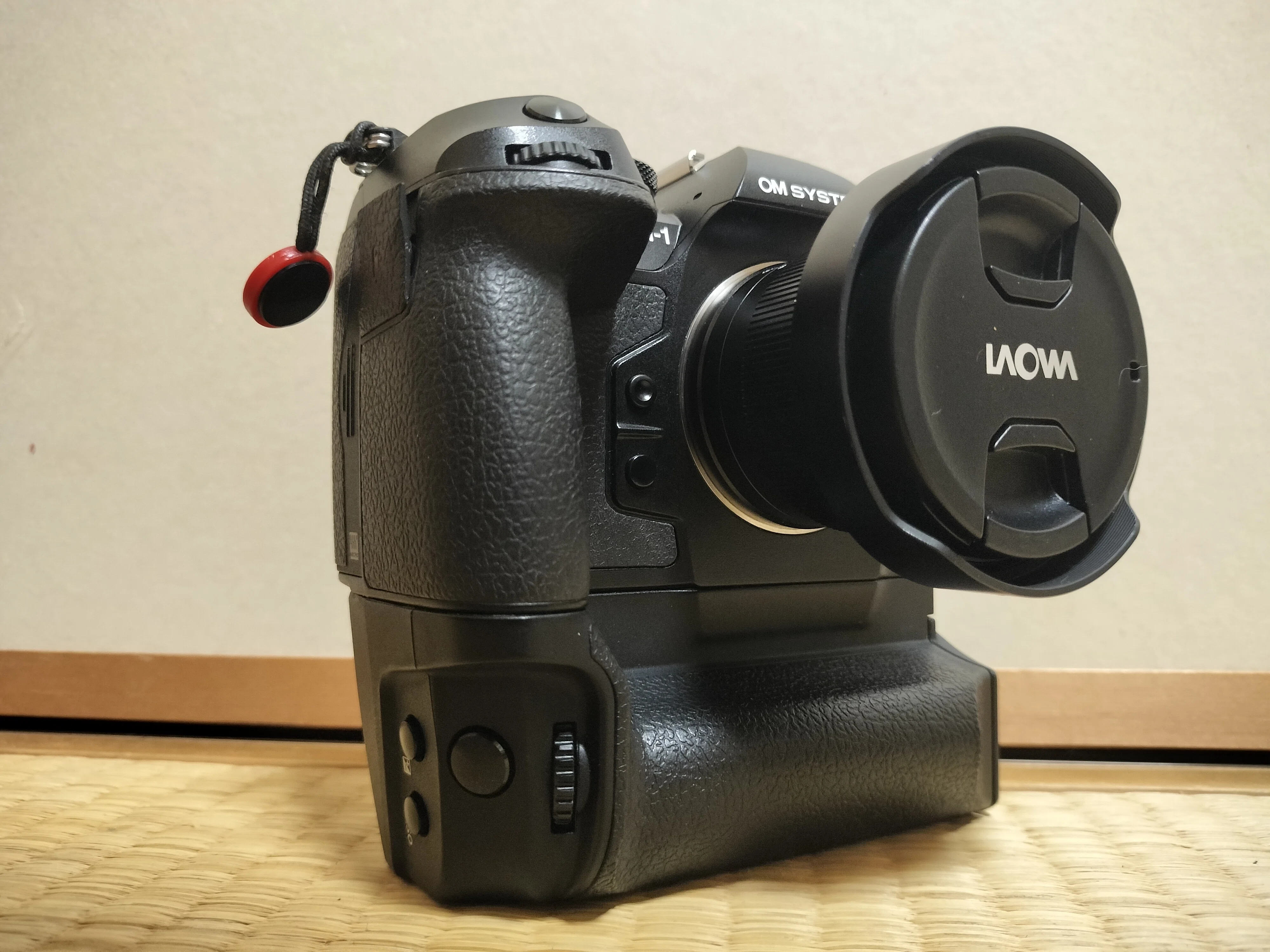 LAOWA 6mm F2 ZERO-D MFT レンズレビュー / OM SYSTEM｜もみじ卍ゅう