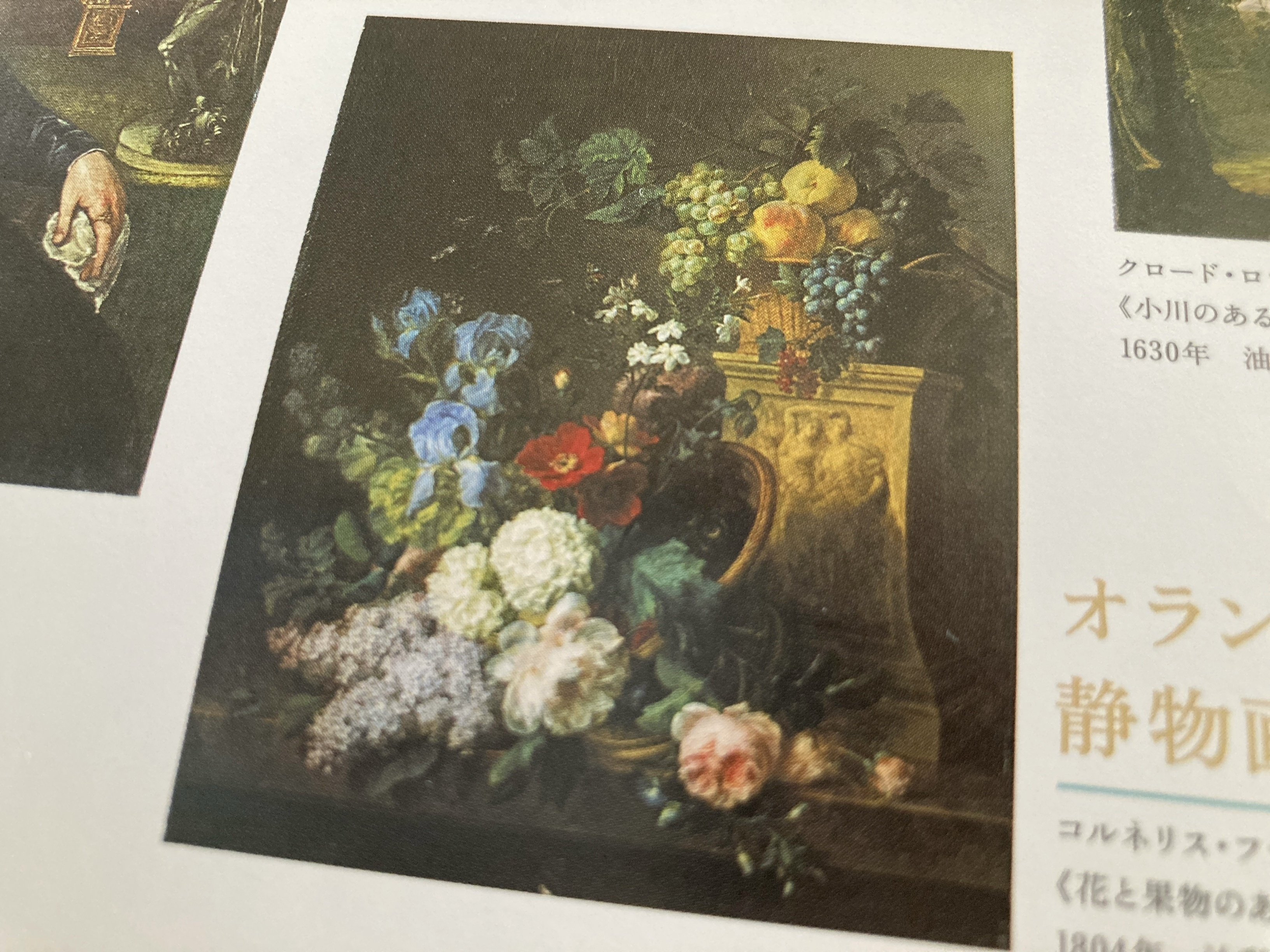 静物画 果物の盛り合わせ 金色フレーム 国立西洋美術館 果物籠のある静物｜国立西洋美術館