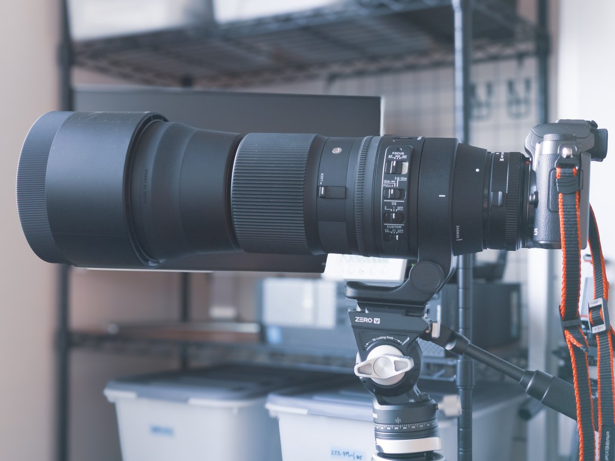 SIGMA シグマ 150-600mm F5-6.3 DG OS HSM Contemporary [ニコン用  