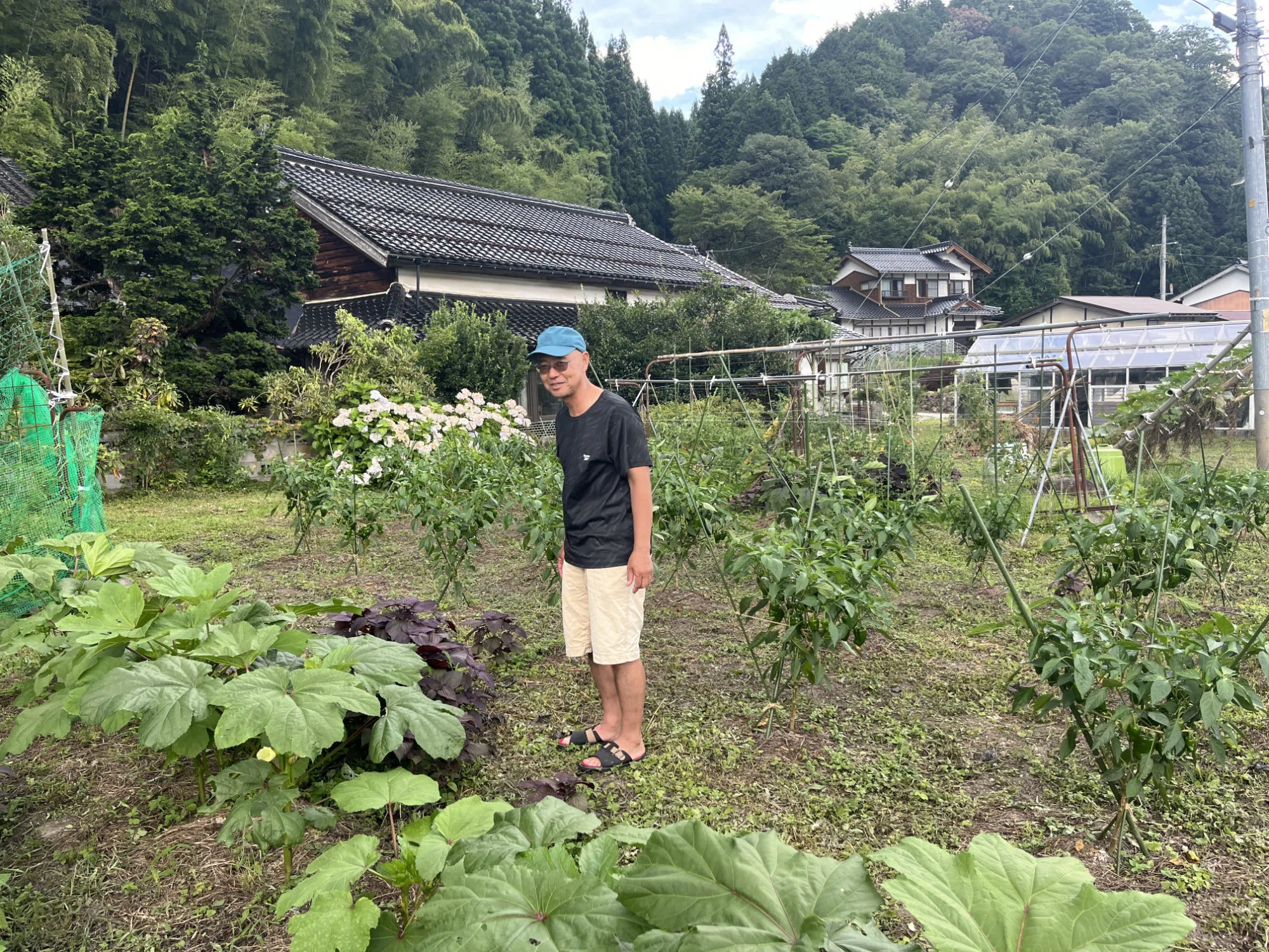 ボヘミアンの夏休み①オオサンショウウオ｜藤井満