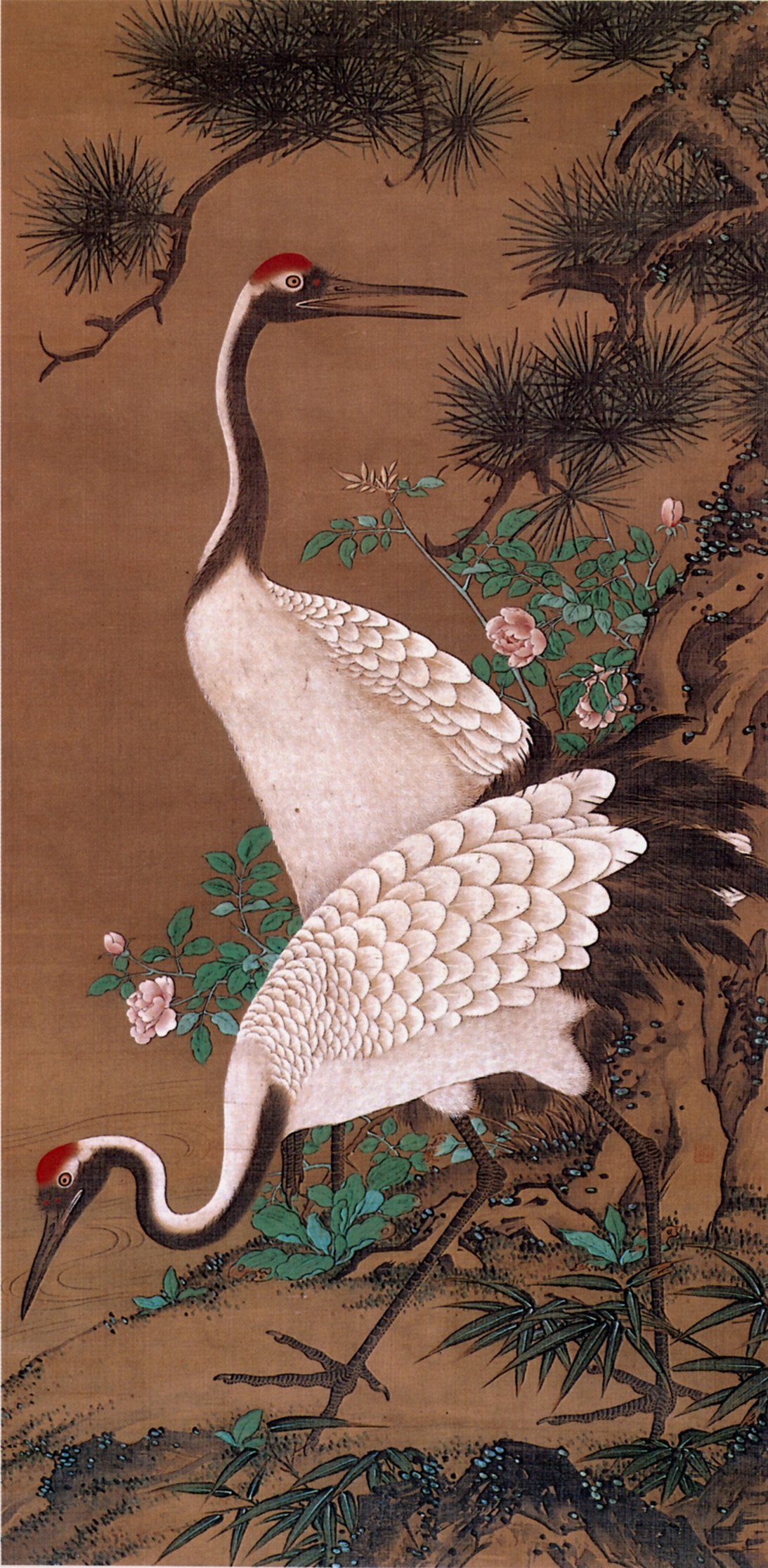 健康マインド（日本の象徴❗）タンチョウ 丹頂鶴｜ハイツひろちゃん