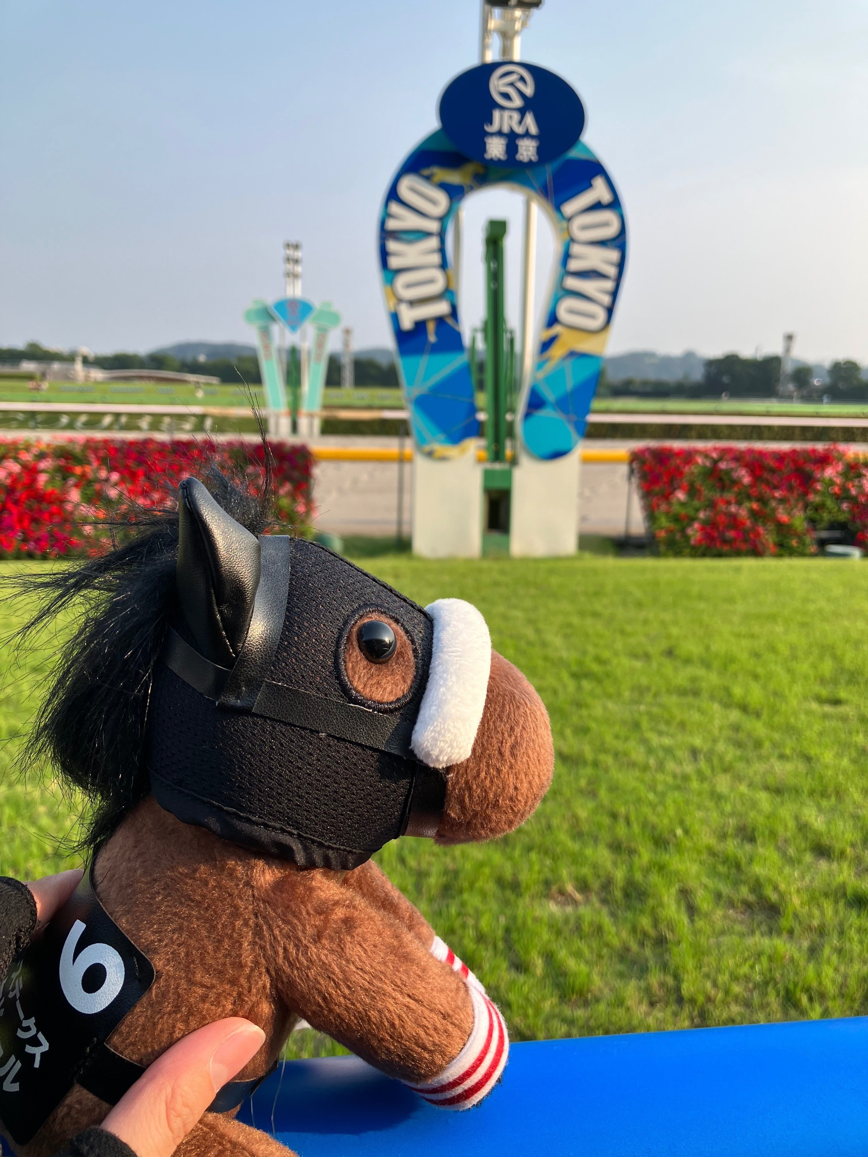 カレンブーケドール アイドルホース ぬいぐるみ Mサイズ スイートピーステークス カレンブーケドール アイドルホース ぬいぐるみ Mサイズ スイートピー