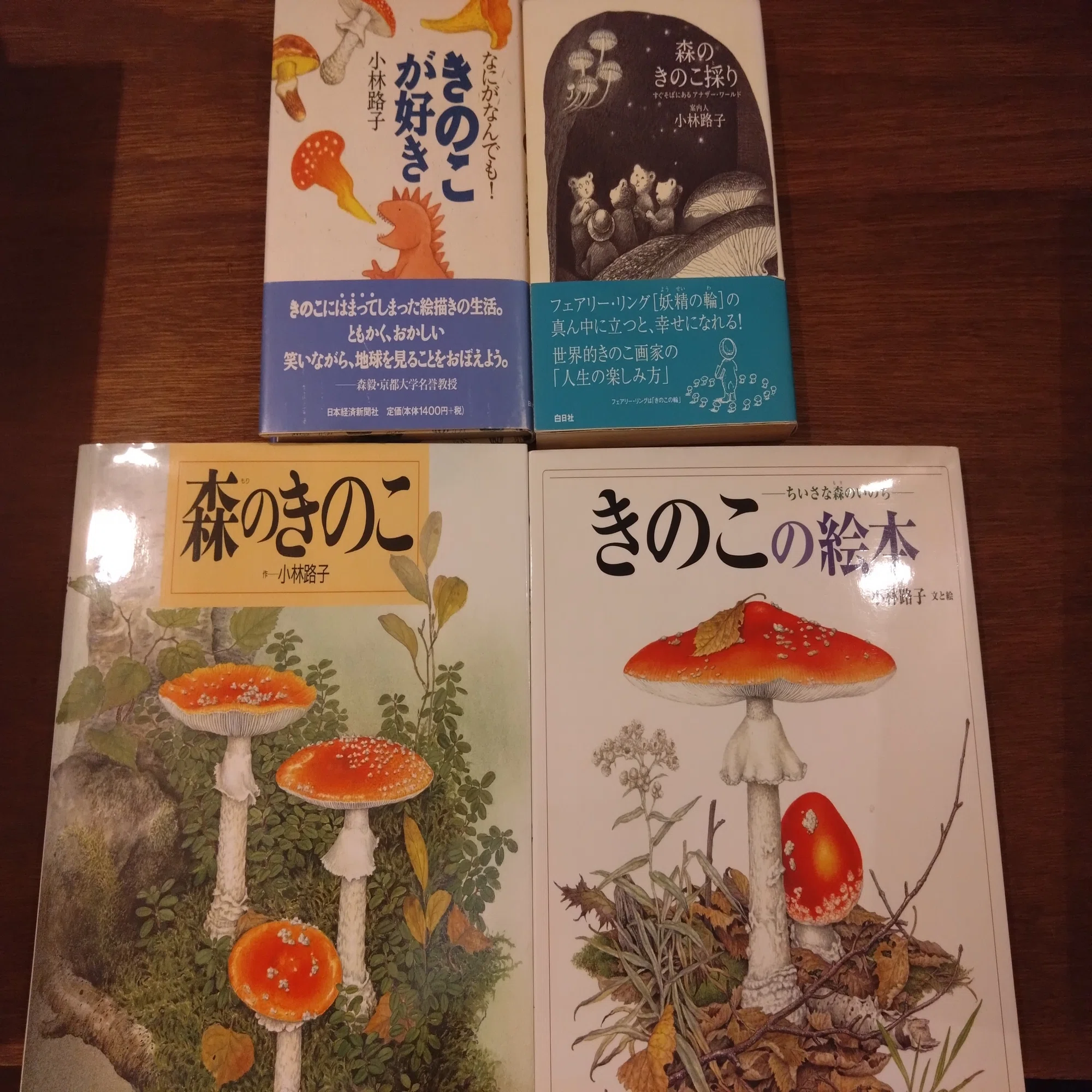 読書 「森のきのこ」小林路子 著 岩崎書店 不思議を知るきっかけ｜こう 