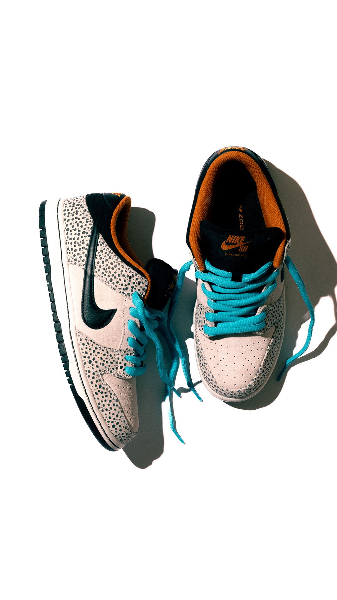 伝統と革新を表現したNIKE SB DUNK LOW PRO 