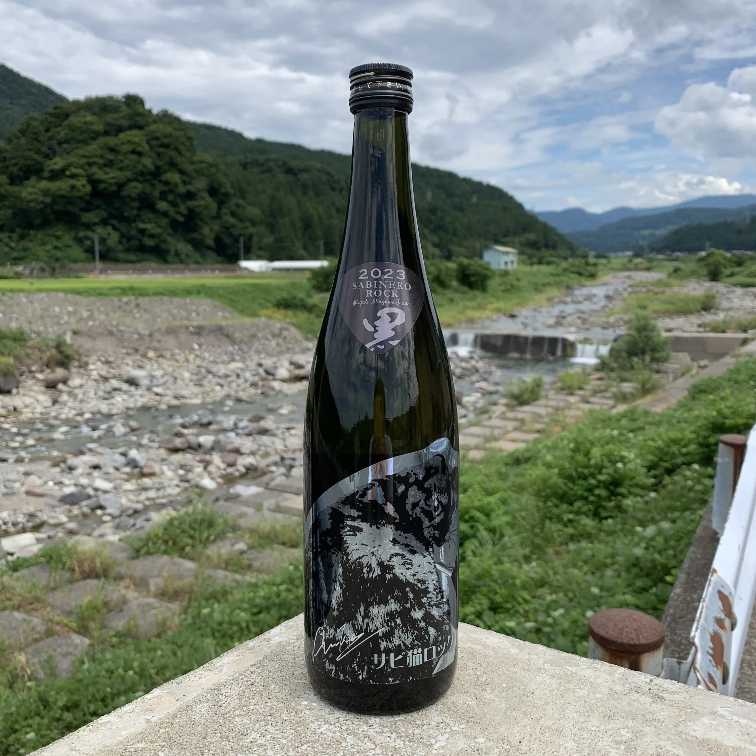 サビ猫ロック 2024 PHASE2 発売のご案内｜猪又酒造株式会社＠つき