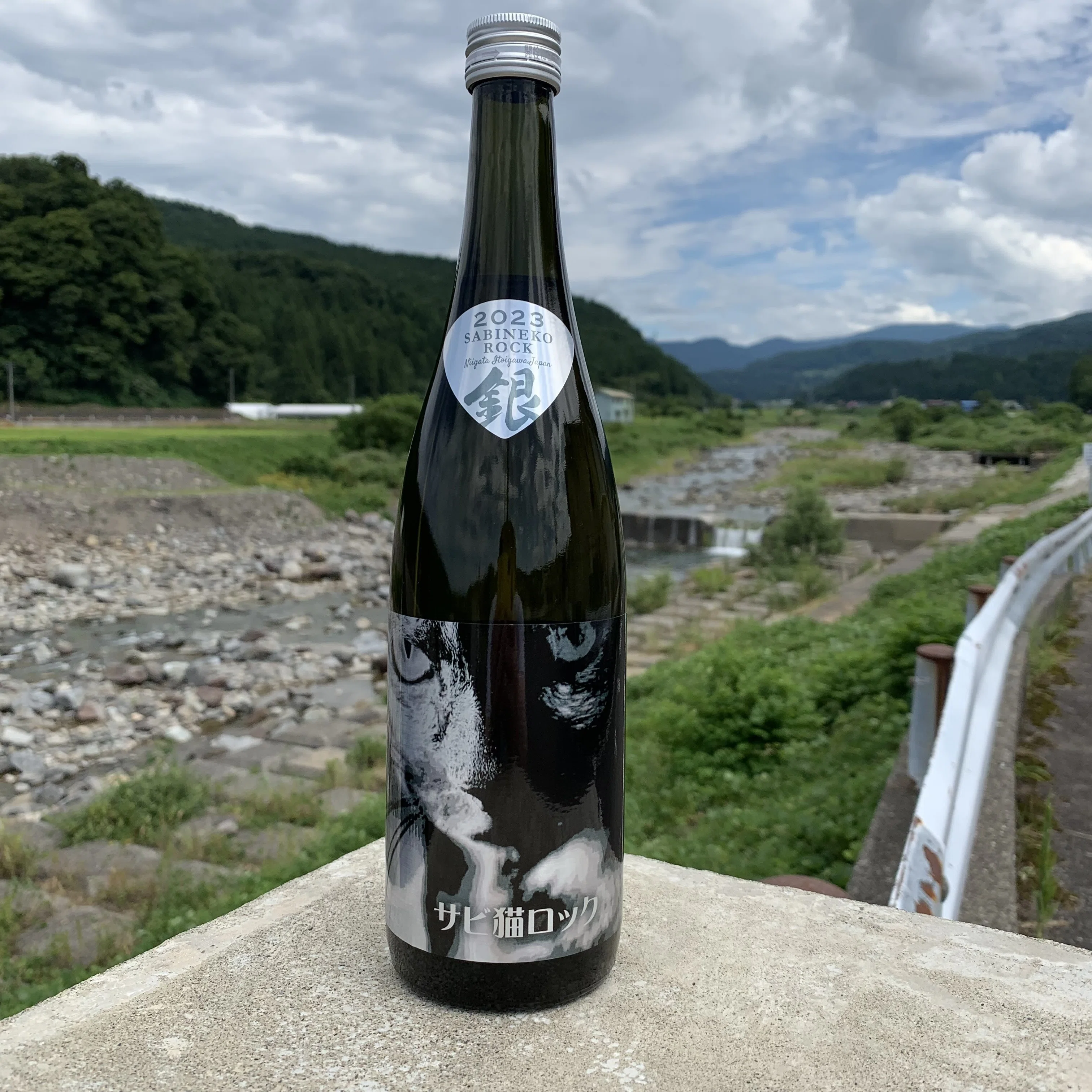 サビ猫ロック 2024 PHASE2 発売のご案内｜猪又酒造株式会社＠つき
