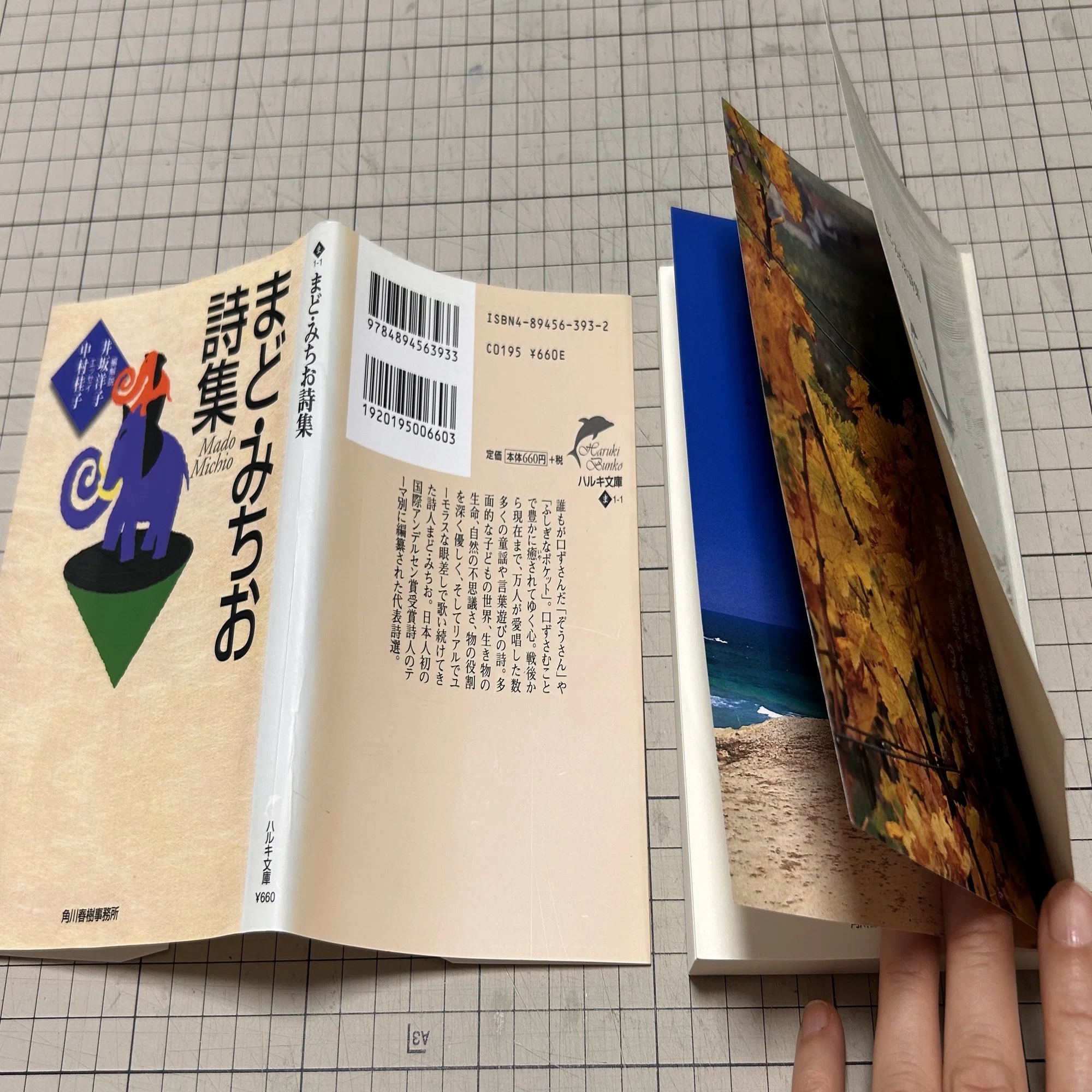 文庫本の改装 ハルキ文庫の詩集2冊｜ともみ／Tesoro（テゾーロ）