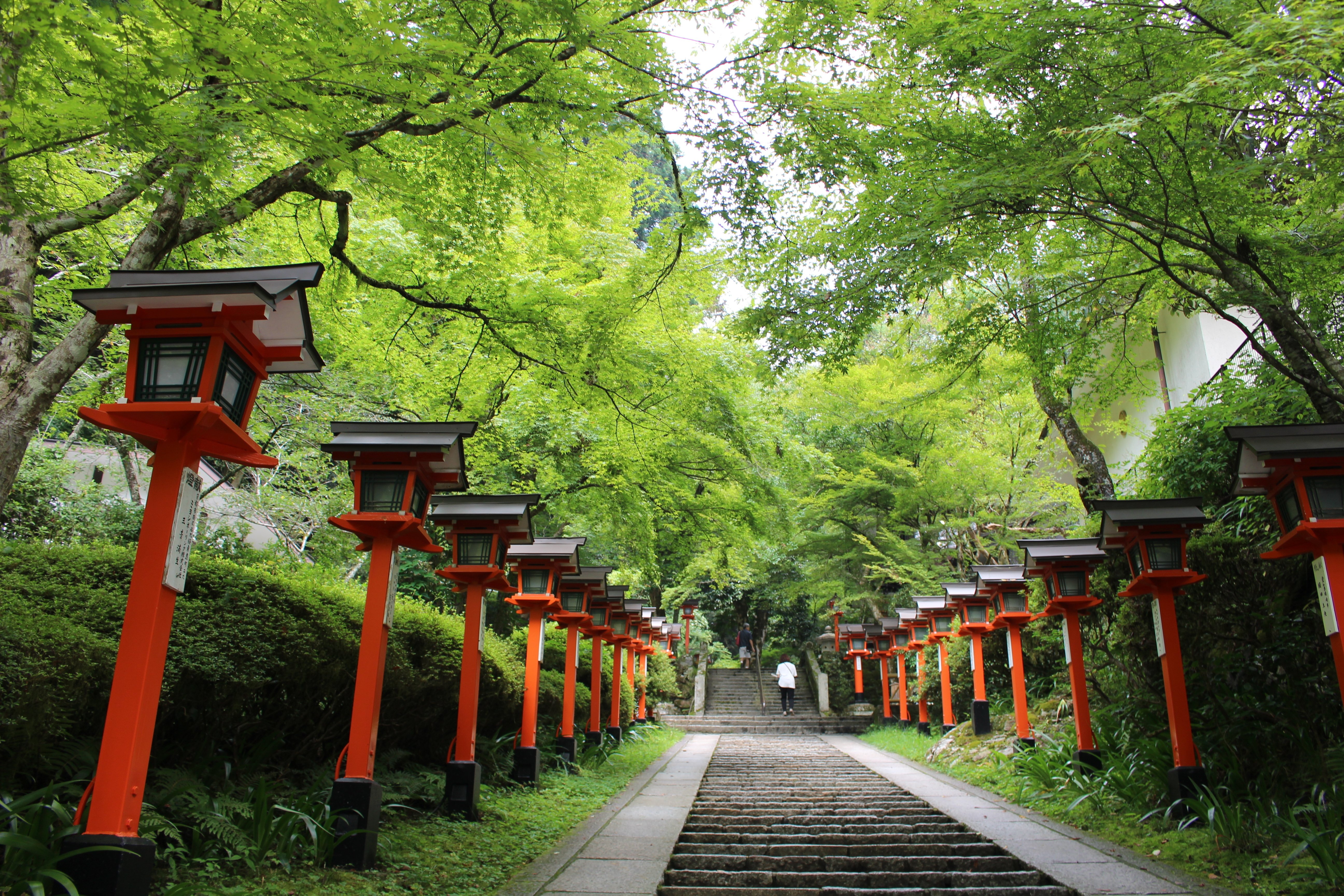 京都寺町三条のホームズ 京都寺町三条のホームズ 1｜COLORFUL
