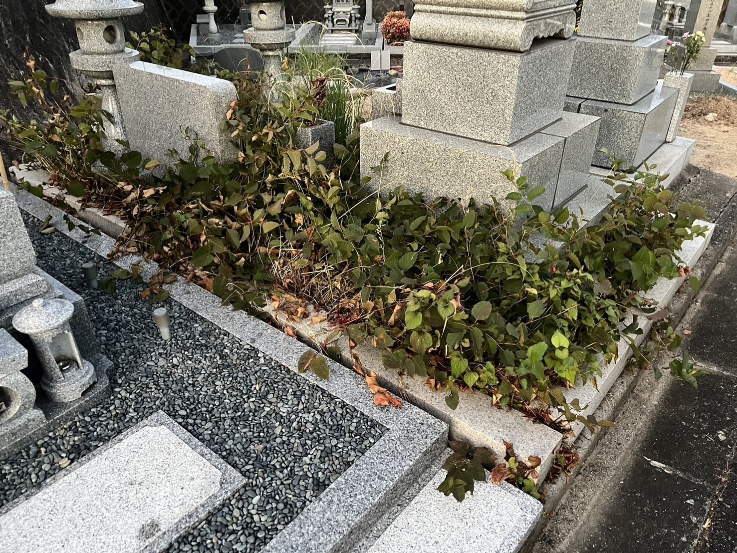 墓までの草刈り お墓の草刈り|業者に依頼するといくら？雑草対策もご紹介します