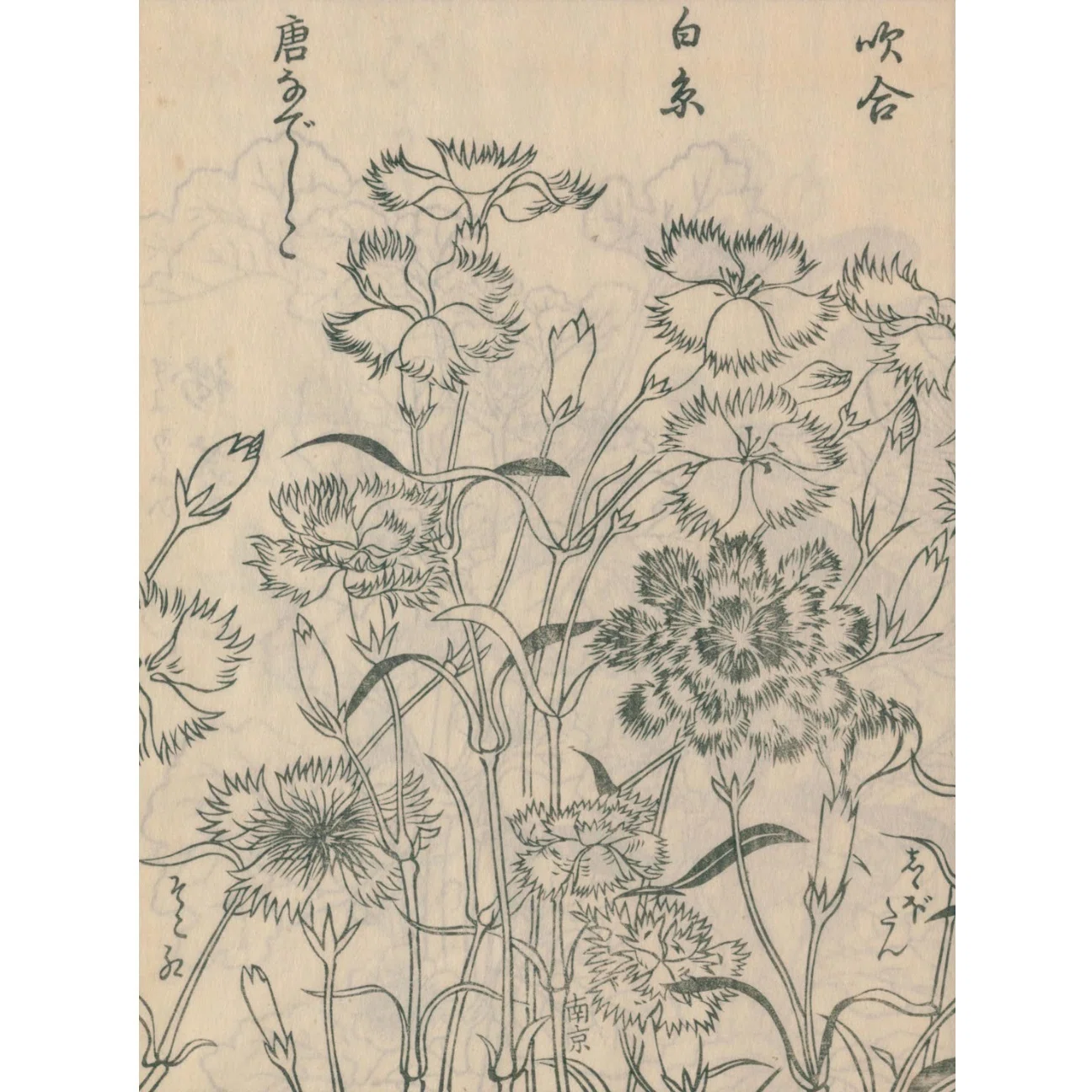 絵本野山草】(15) しんこ花／草額（くさがく）／白糸草／なでしこ