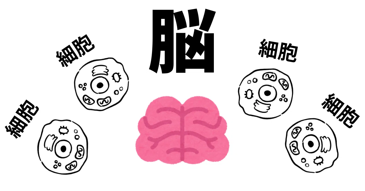 感じすぎるあなたへ - ミラーニューロンが教える共感の科学-｜ぶっくん