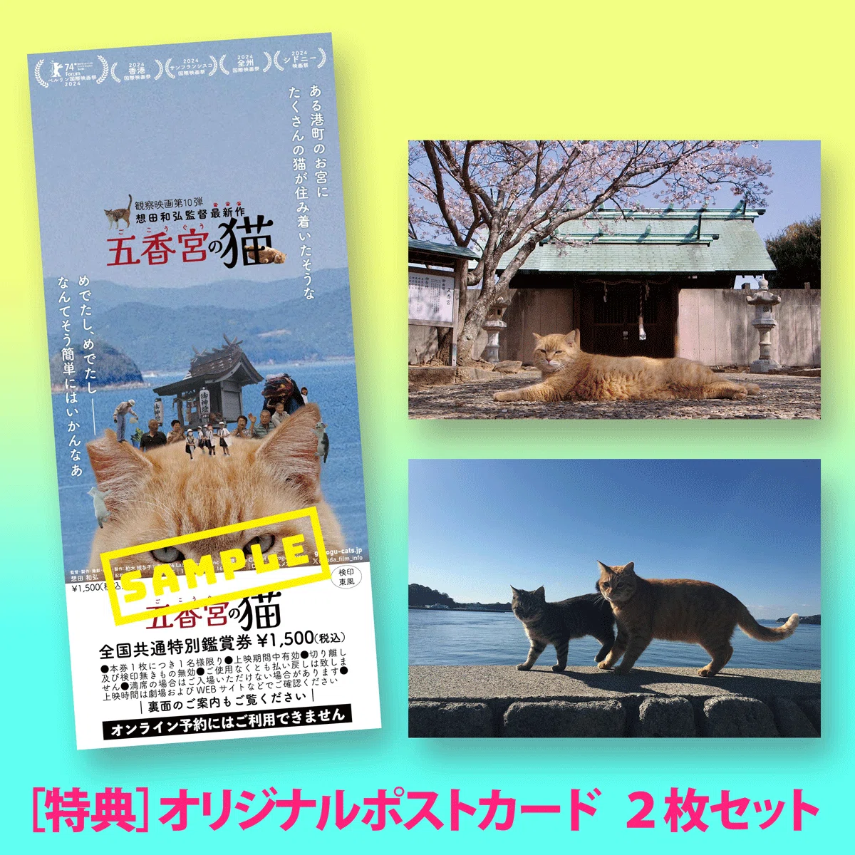 全国共通特別鑑賞券×ポストカートセットつき発売！｜映画会社 東風