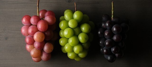 ぶどうは縁起物？贈り物にもおすすめな葡萄の栽培～出荷までの