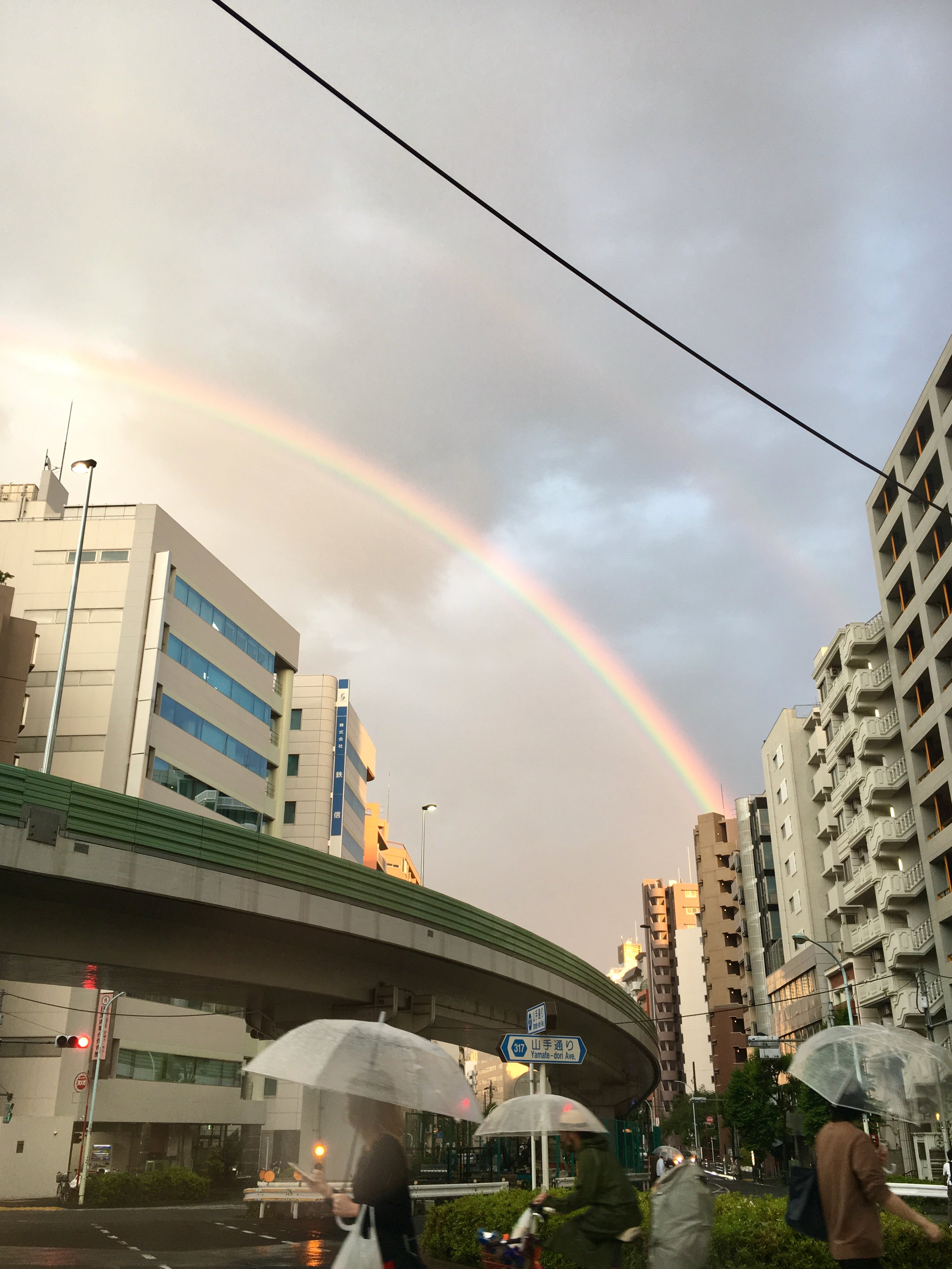 虹と遊ぶ 虹と遊ぶ 虹と遊ぶ adidas-ZX-