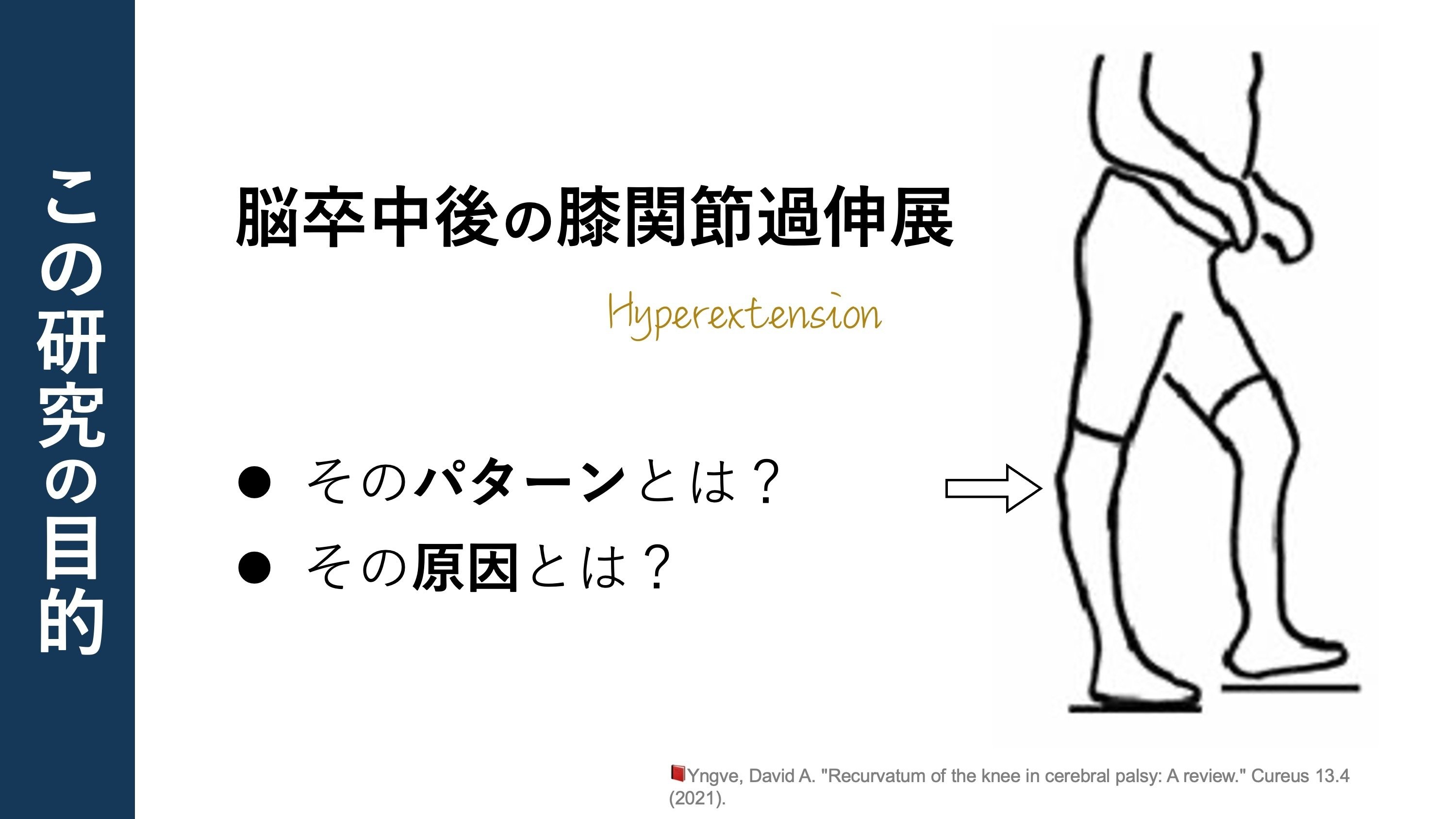 理学療法マネジメント　脳卒中　股関節　膝関節　足部・足関節　肩関節　脊柱　セット メジカルビュー社 | 理学療法マネジメント