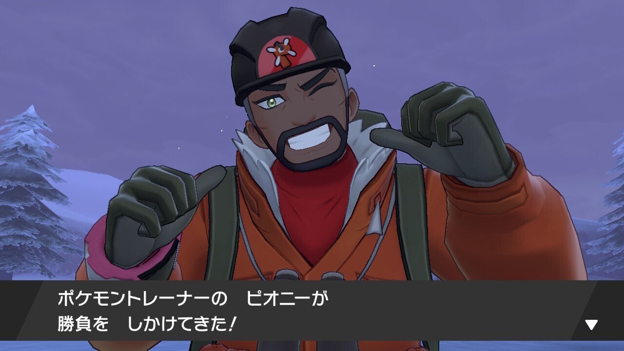 剣盾#15】サブロム旅 〜「冠の雪原」の導入と最終パーティーの検討