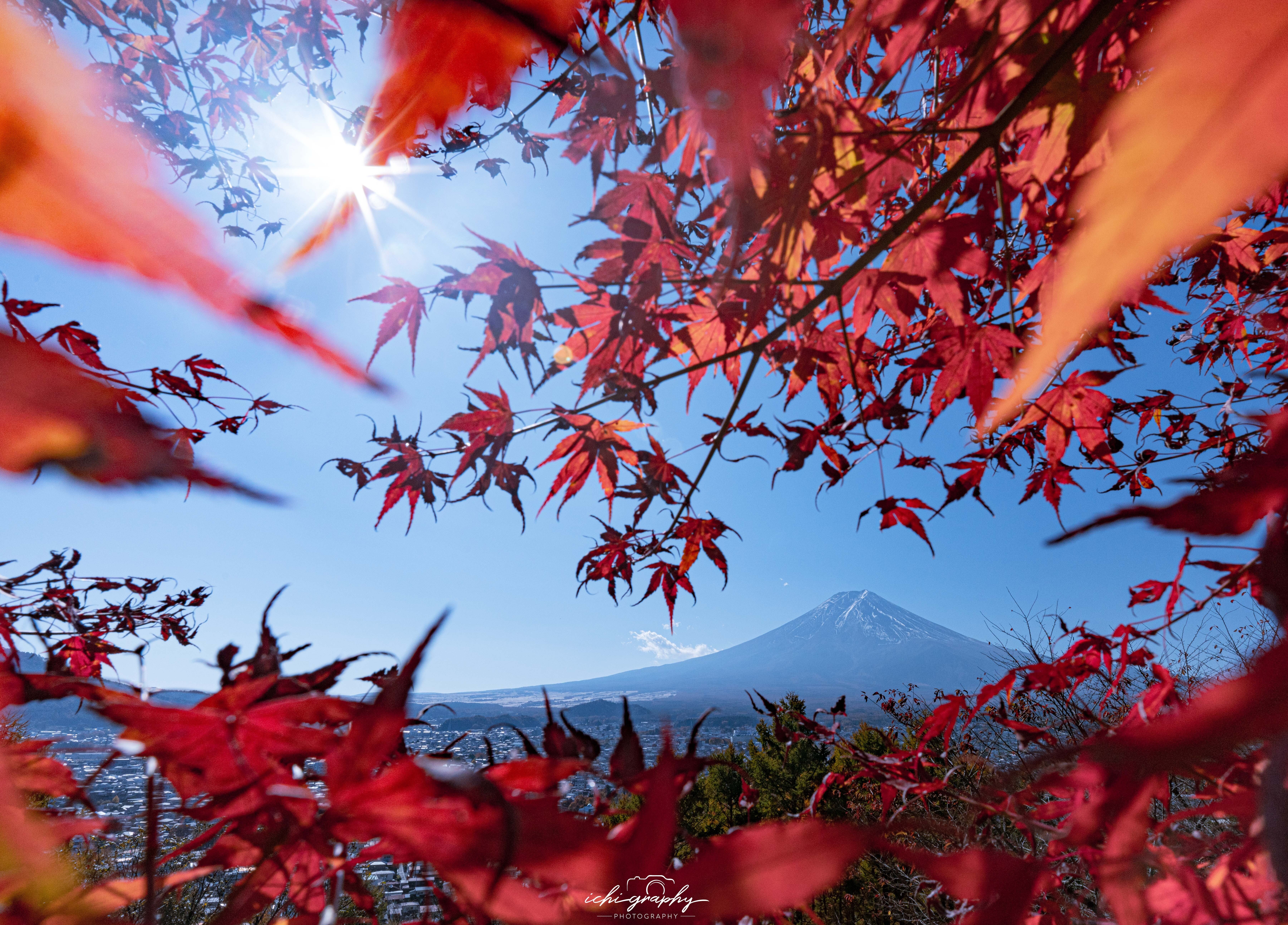 秋の風景が劇的に変わる！CPLフィルターで紅葉写真をワンランクアップ