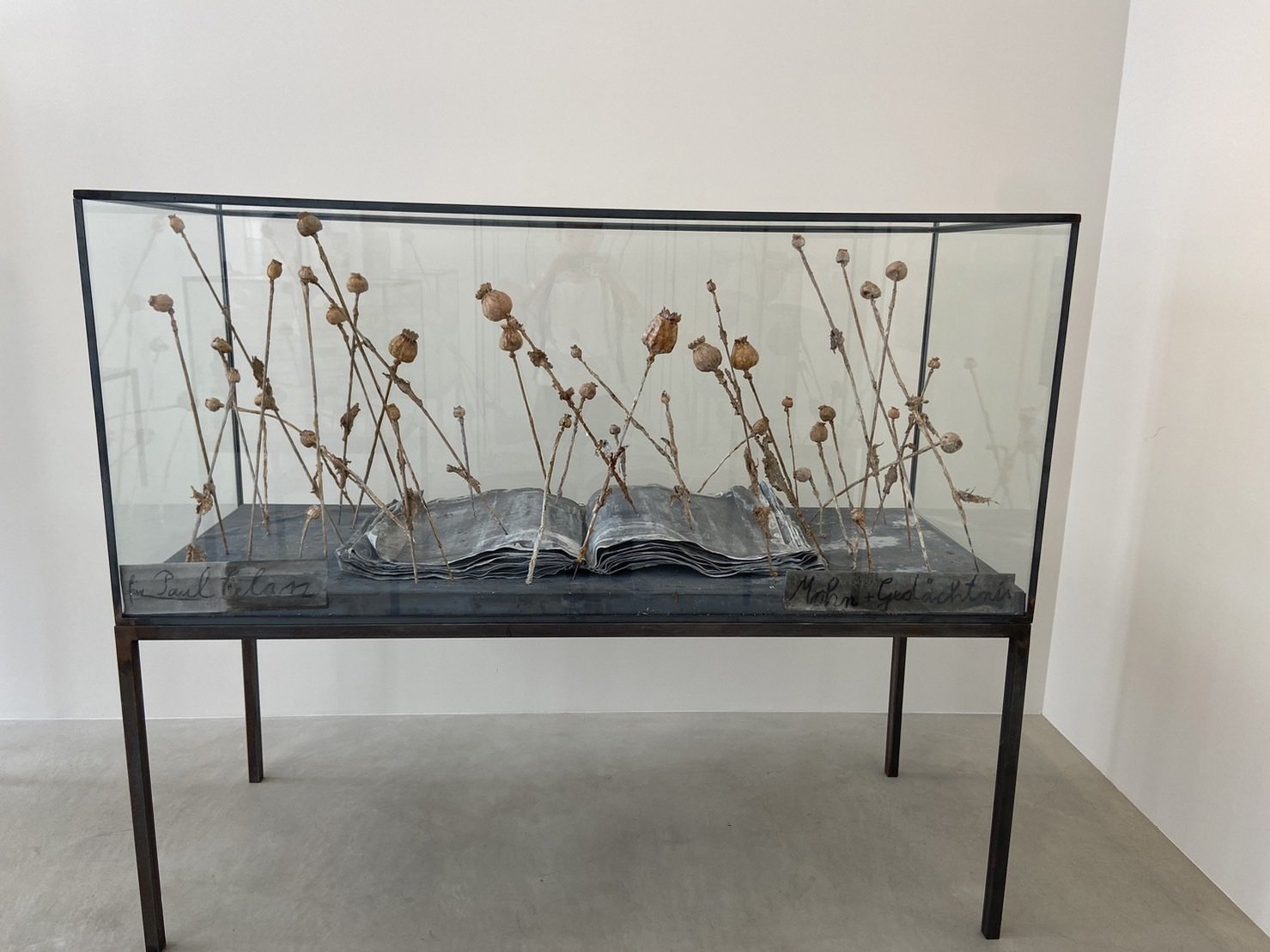 ドイツ現代美術の素描・アンゼルム・キーファーを通して｜一志