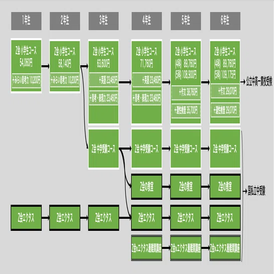 塾選び】低学年塾・通信教育の比較と中学受験へのロードマップ｜中学