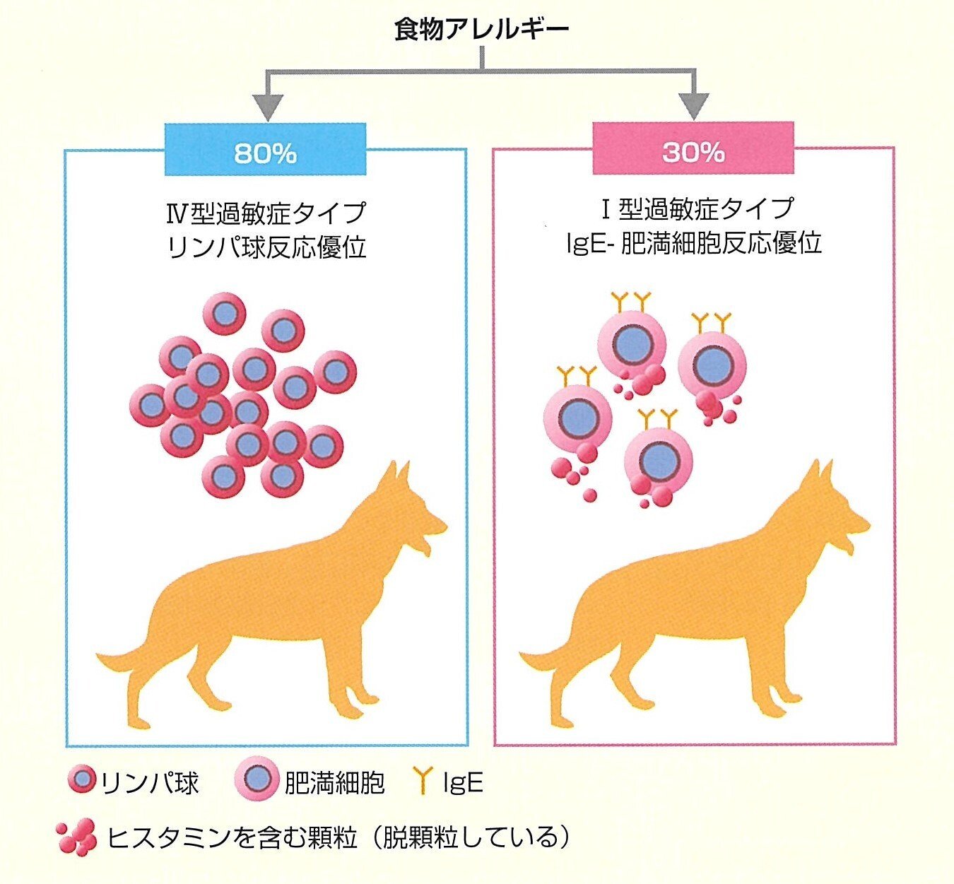 ①伴侶動物の処方ガイド②フローチャートでわかる犬と猫の血液検査・