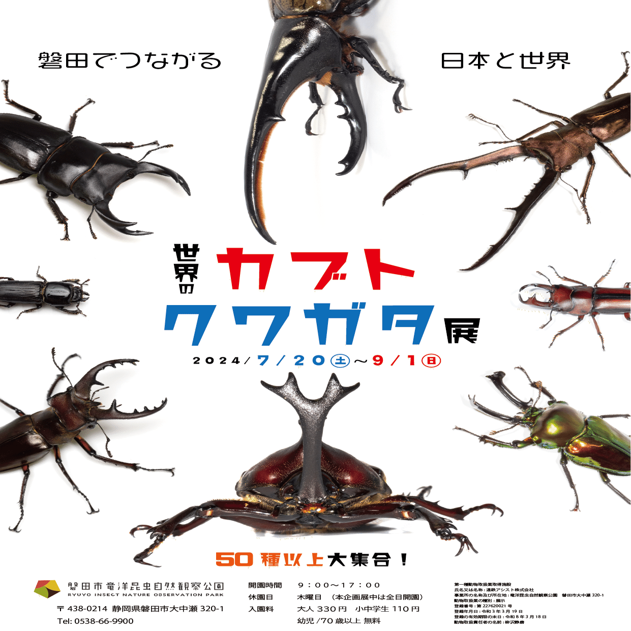 70種以上のカブト・クワガタが展示された『世界のカブト・クワガタ展