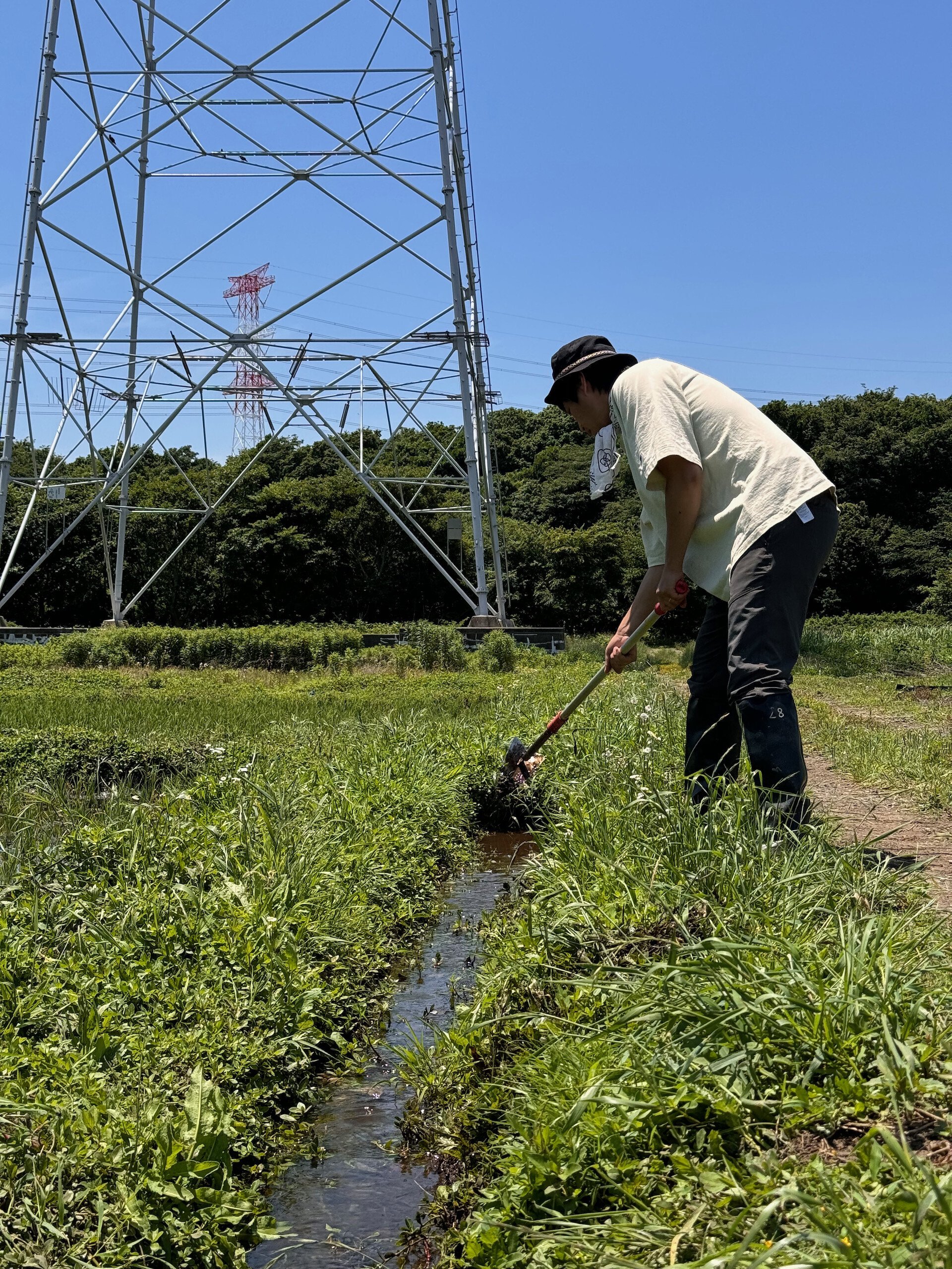 田んぼの1年〜おこめづくりで生まれるコミュニティ｜omusubi不動産