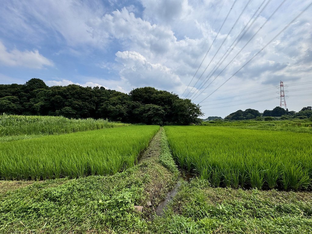 田んぼの1年〜おこめづくりで生まれるコミュニティ｜omusubi不動産