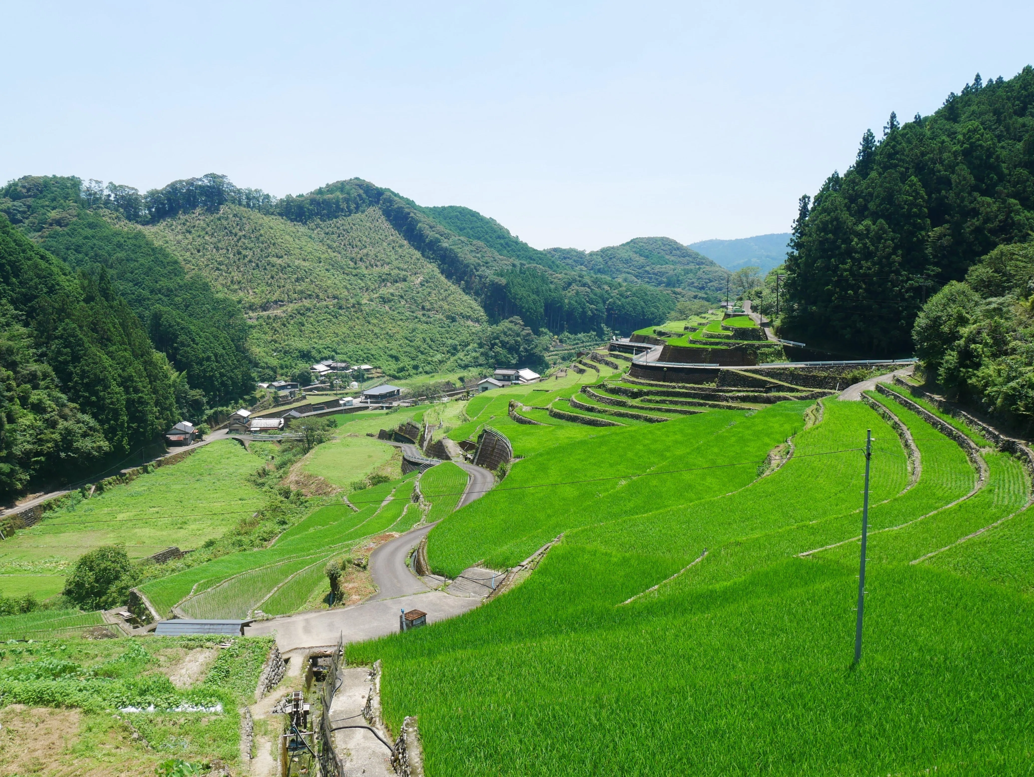 464 夏の1コマ #高知県津野町貝ノ川の棚田｜揺蕩う旅人・なお