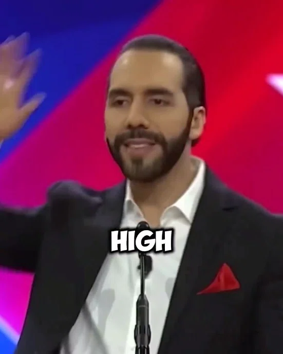 ç»å