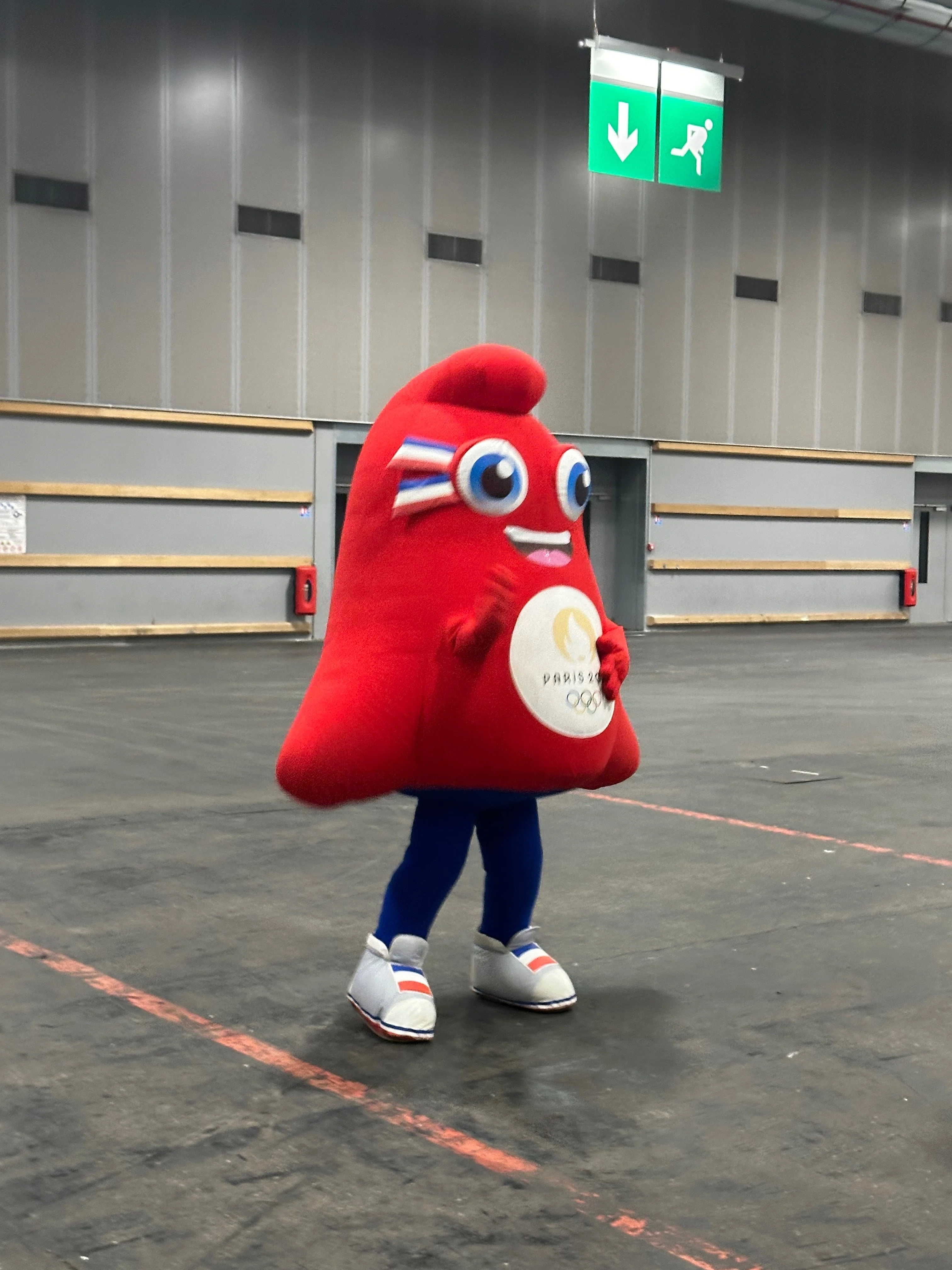 パリオリンピックで男子バレー観戦｜sae