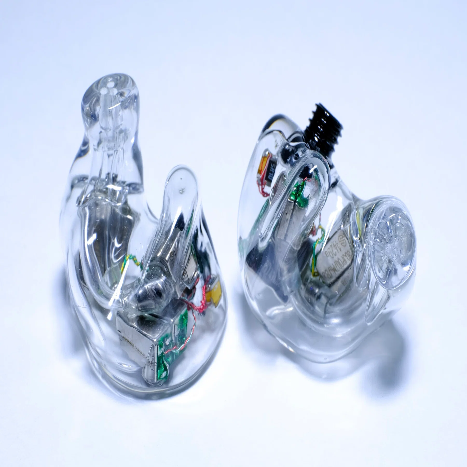 作例紹介】Reshell - JHAudio Roxanne カスタムIEM｜Y EARS