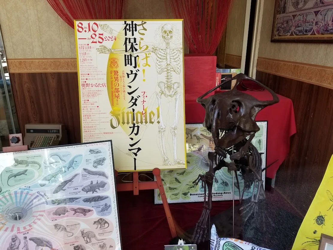 神保町ヴンダーカンマー2024ですよ｜始祖鳥堂まふ（M.A.F.）