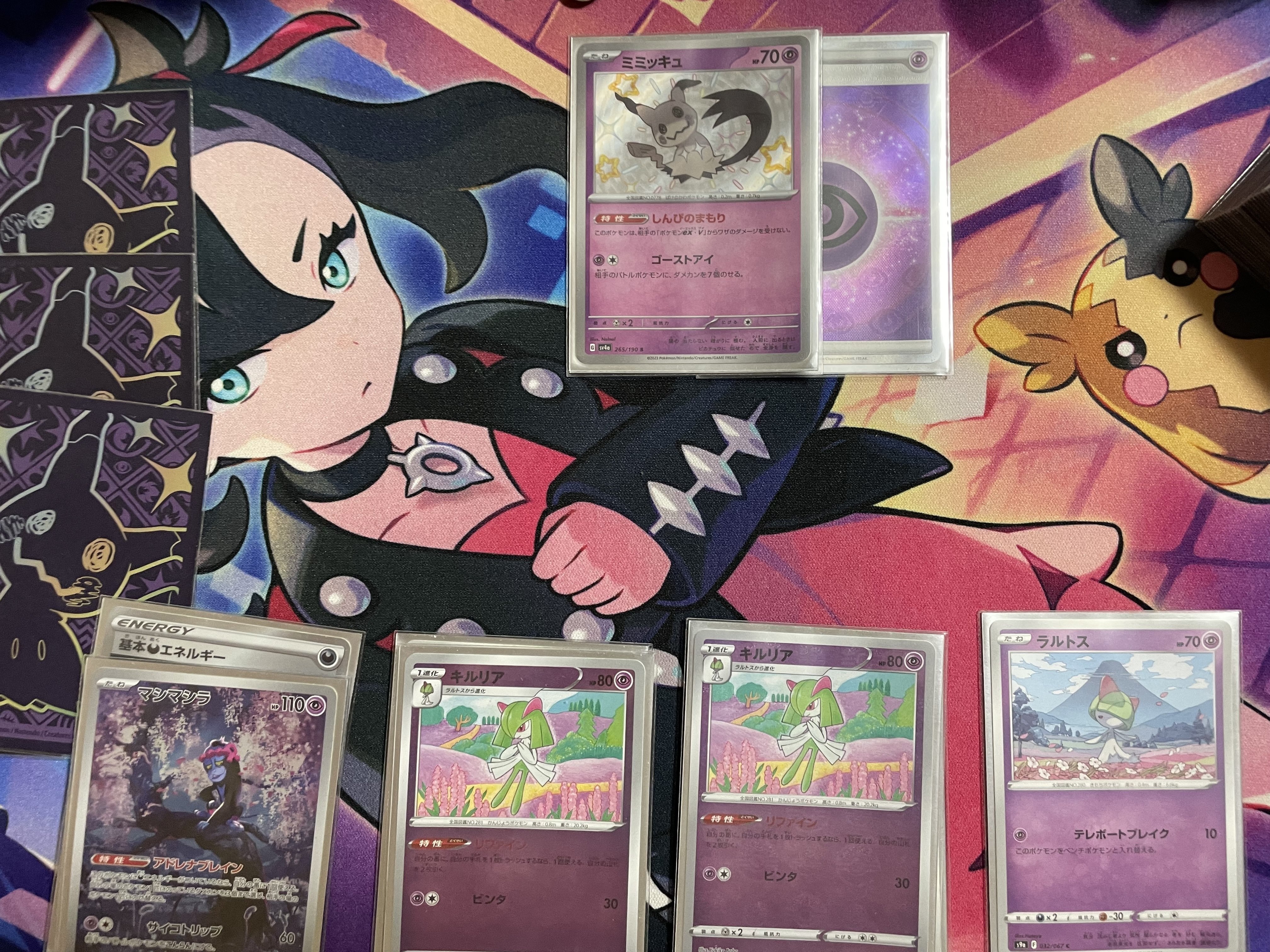 サーナイトexVSタケルライコex｜サクサクパンダ