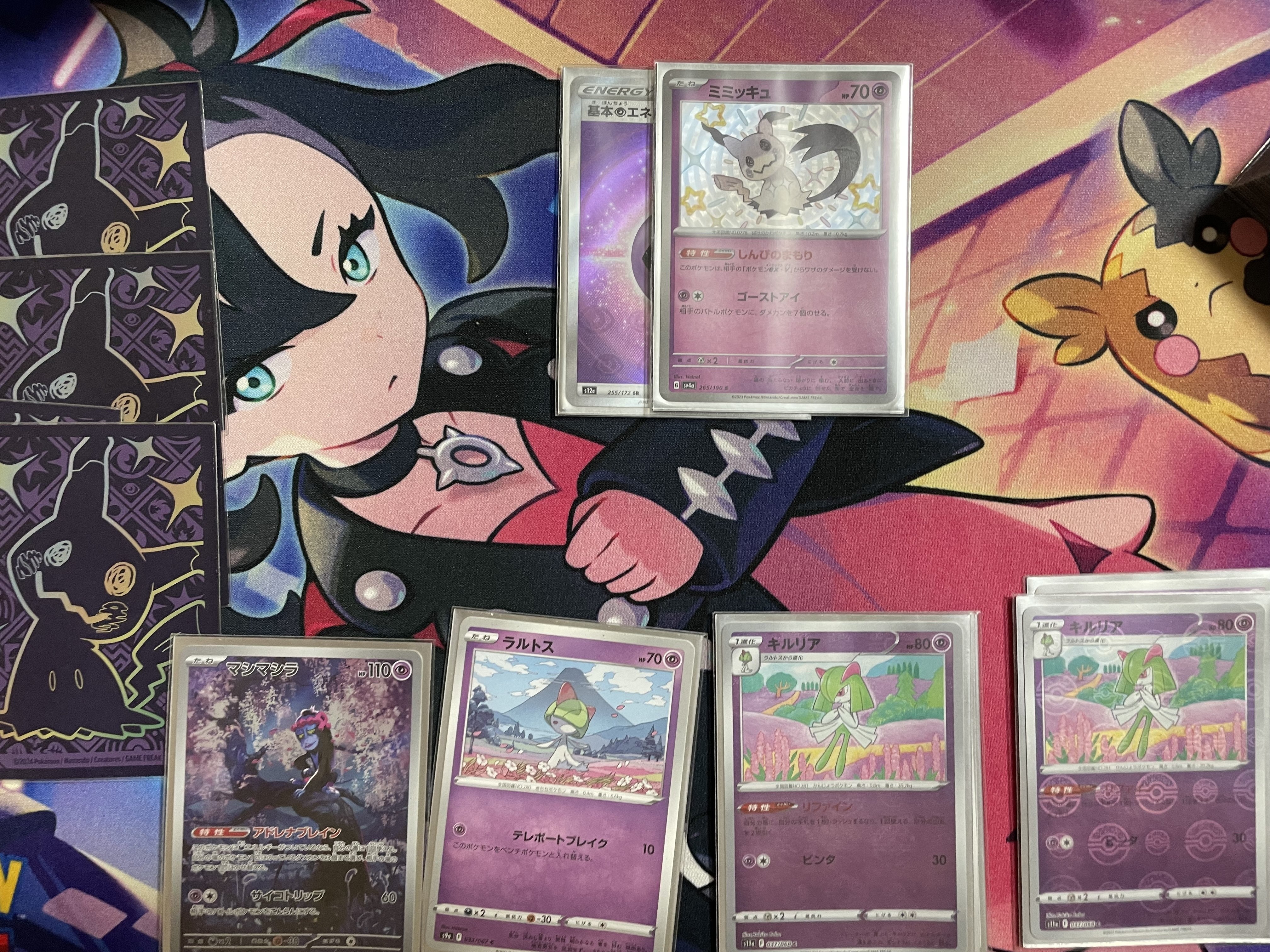 サーナイトexVSタケルライコex｜サクサクパンダ