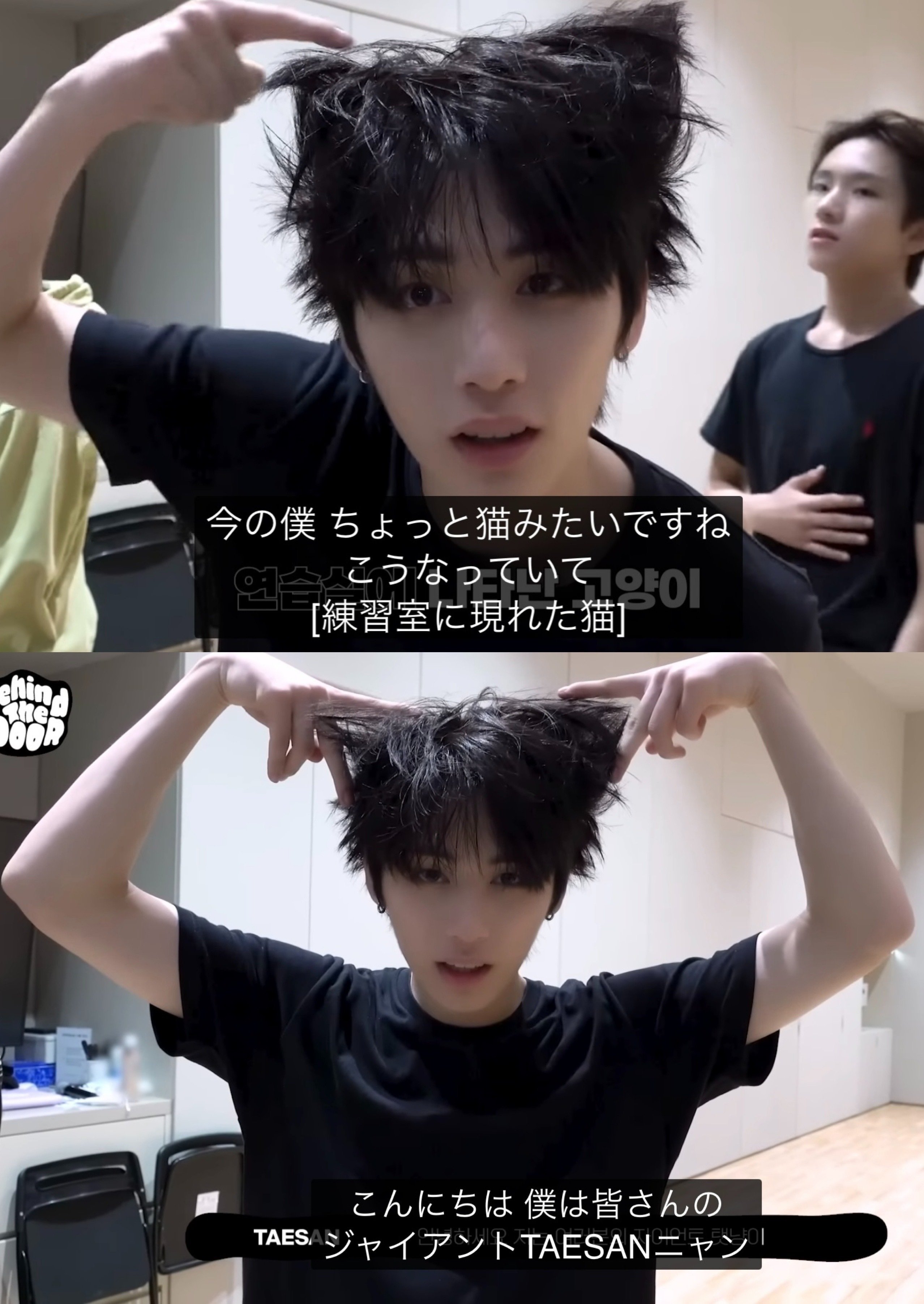 cloverの花言葉 - BOYNEXTDOOR｜mew♣︎