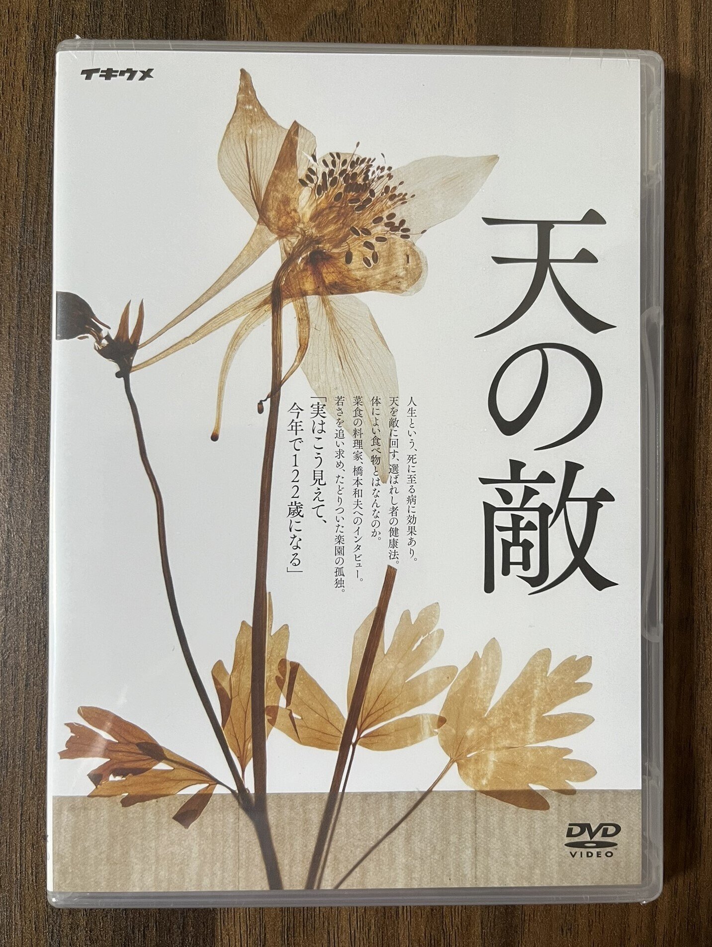 新品未開封】奇ッ怪〜小泉八雲から聞いた話〜 DVD 仲村トオル 他