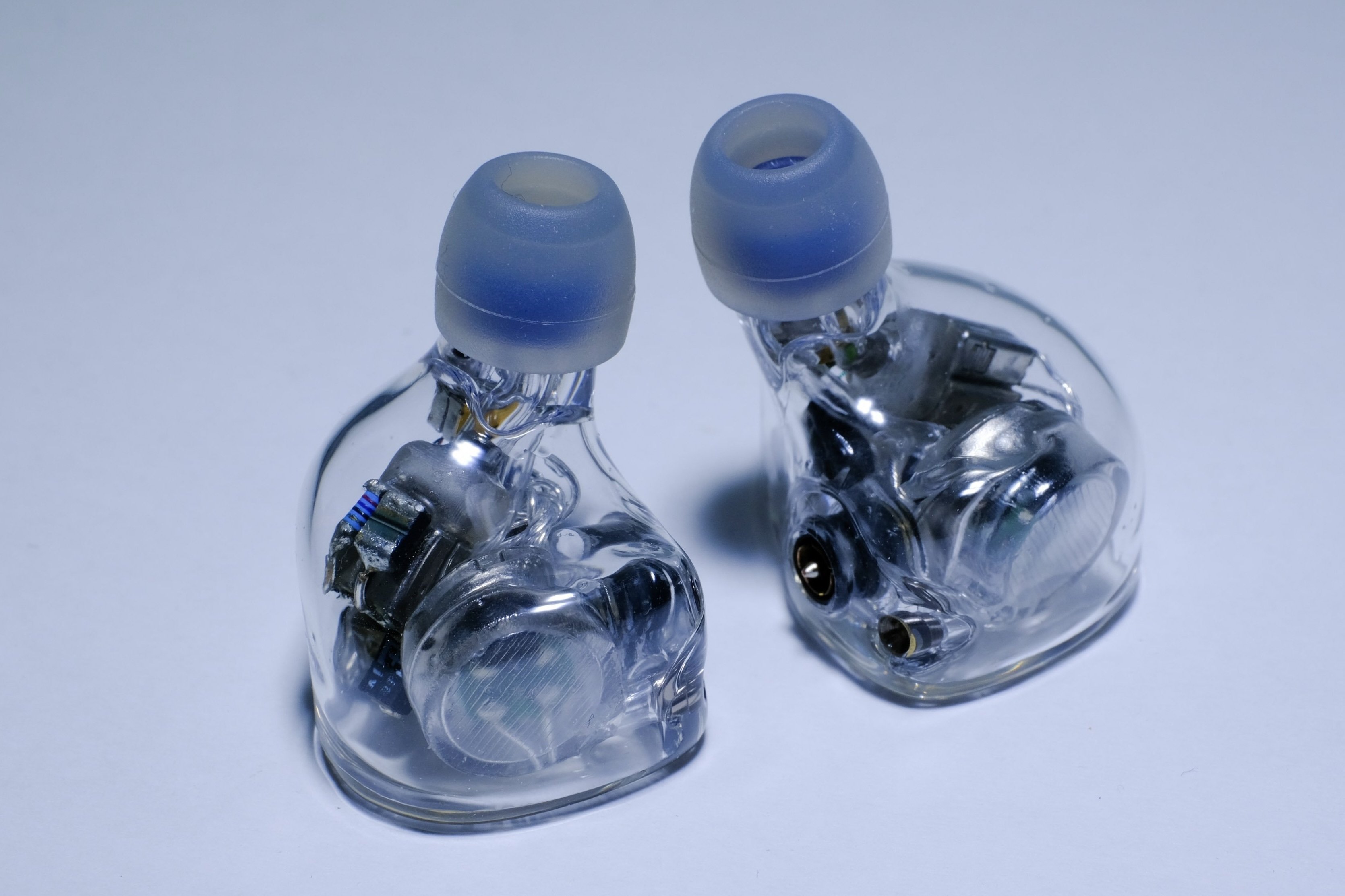 作例紹介】Reshell - Elysian Acoustic Labs Annihilator ユニバーサル