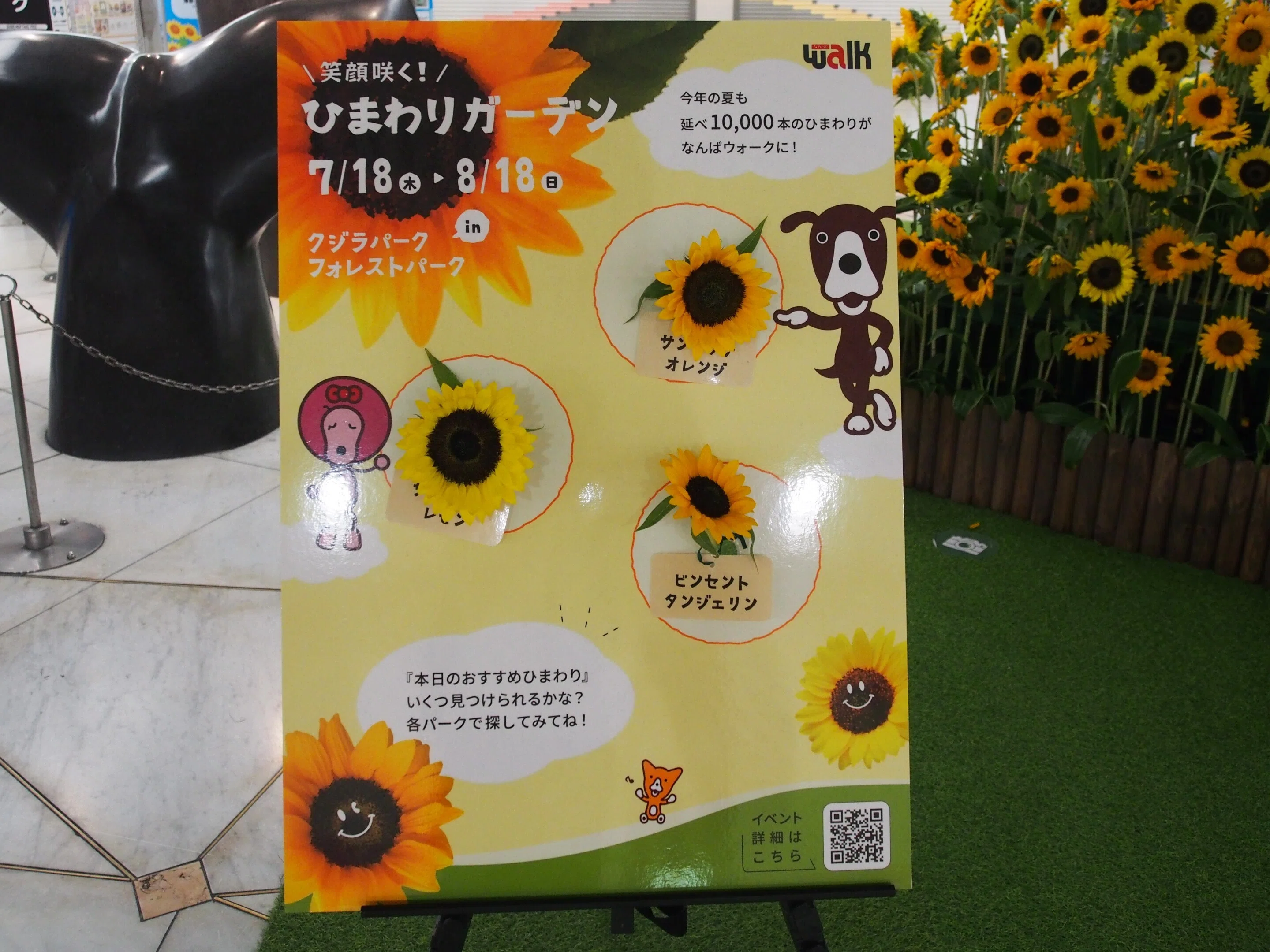 大阪市 なんばウォーク2024年8月11日【ひまわり】｜レタス