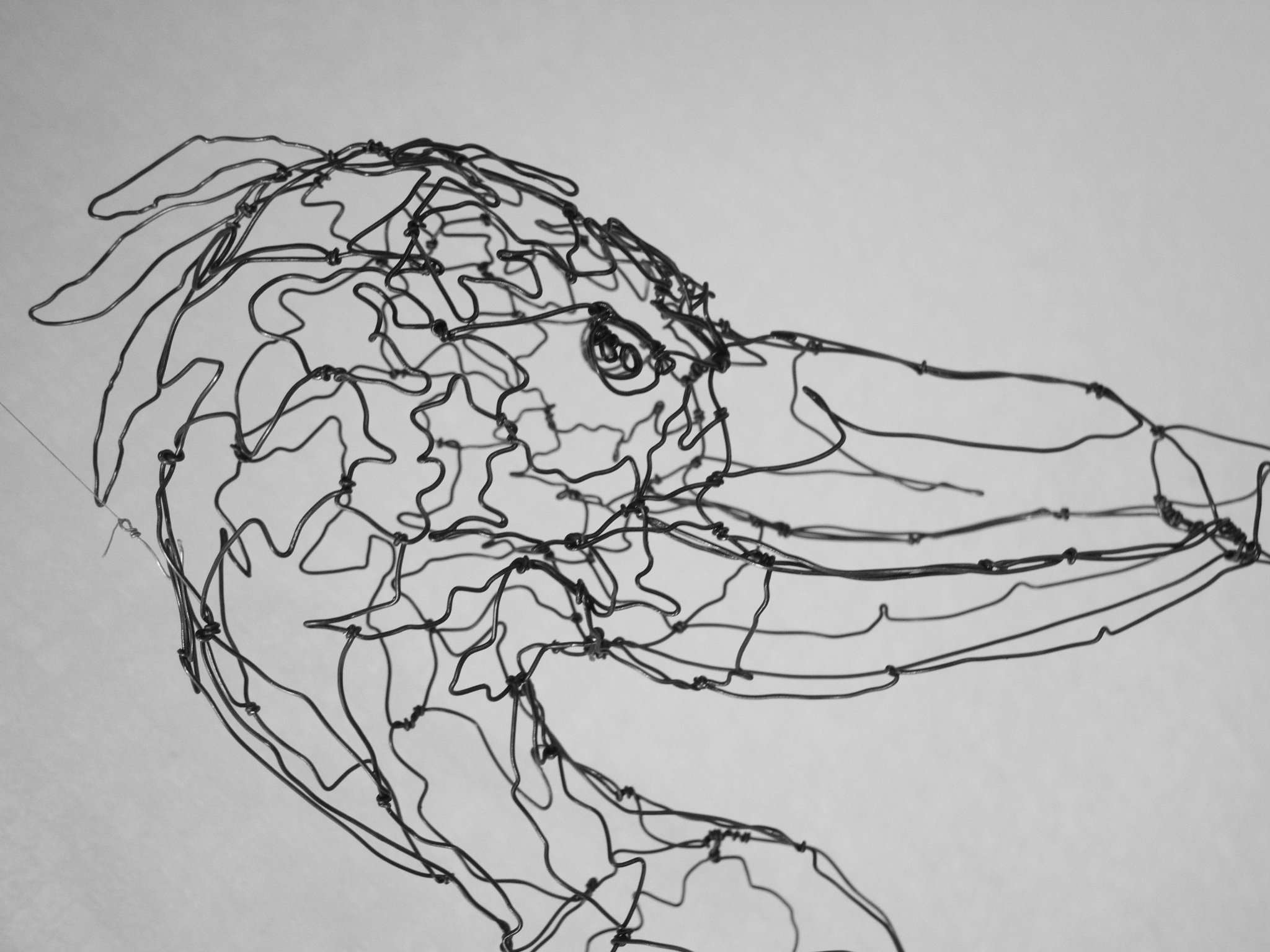 ハシビロコウ｜ひとふで3D（ときどきワイヤーアート）