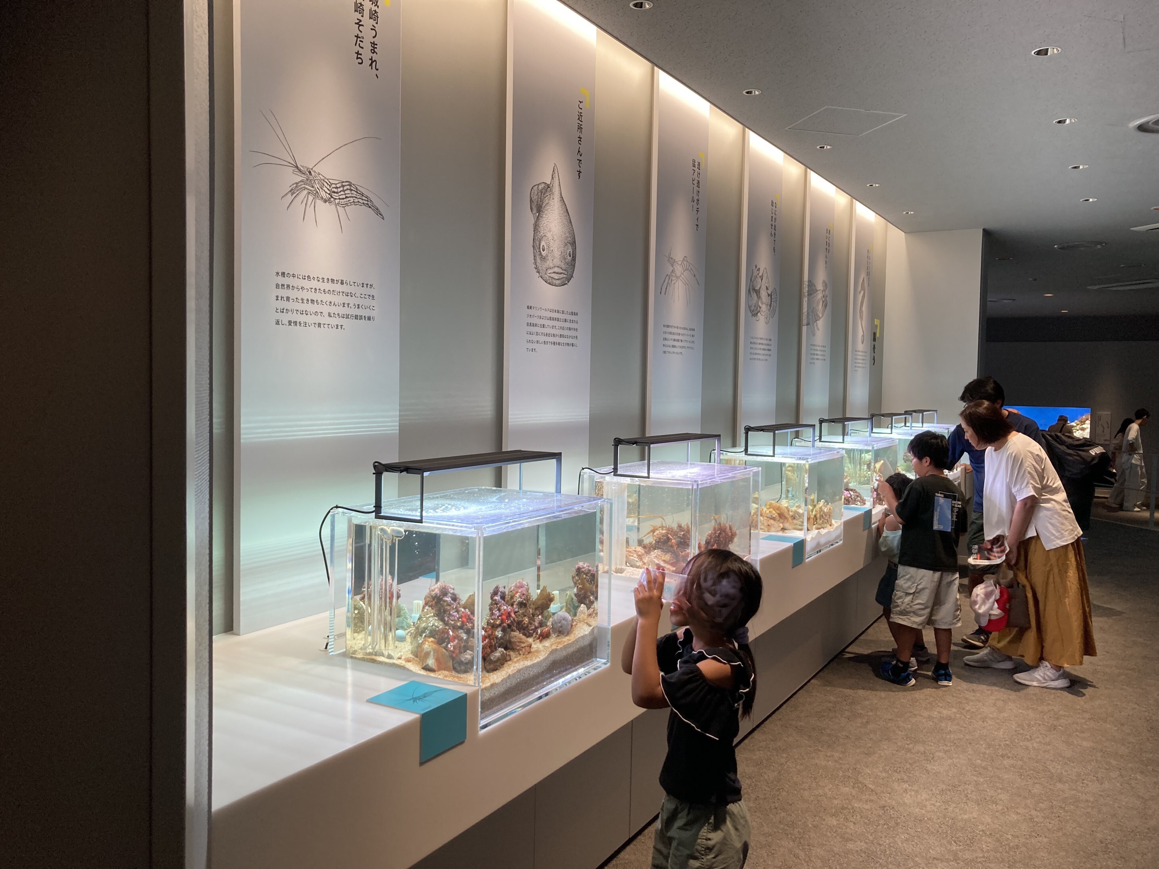 昭和レトロ　城崎　日和山海岸　海の生き物テーマの立体オブジェ　置き物　貝殻　海 昭和レトロ 城崎 日和山海岸 海の生き物テーマの立体オブジェ