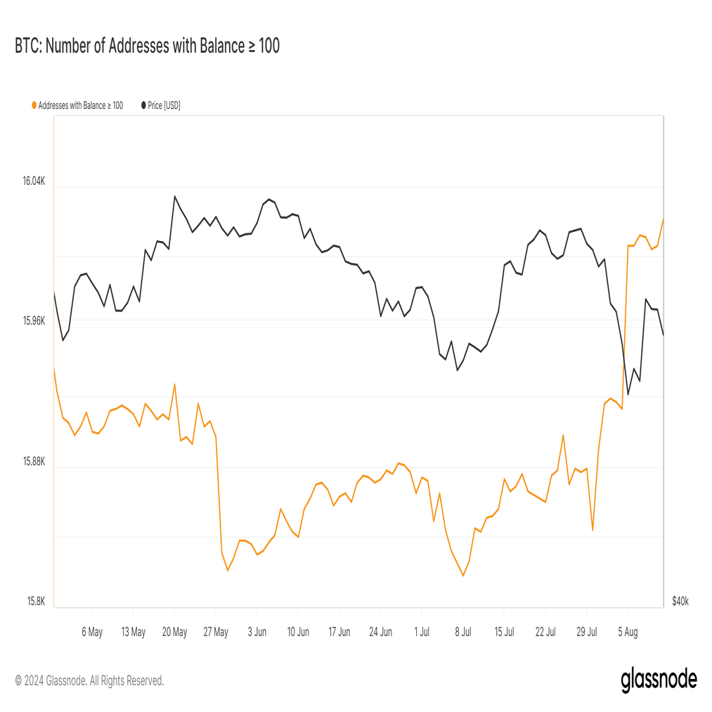 日経平均大暴落に始まる歴史的な一週間を通過、今後のビットコイン相場の見通しは？｜Decentier