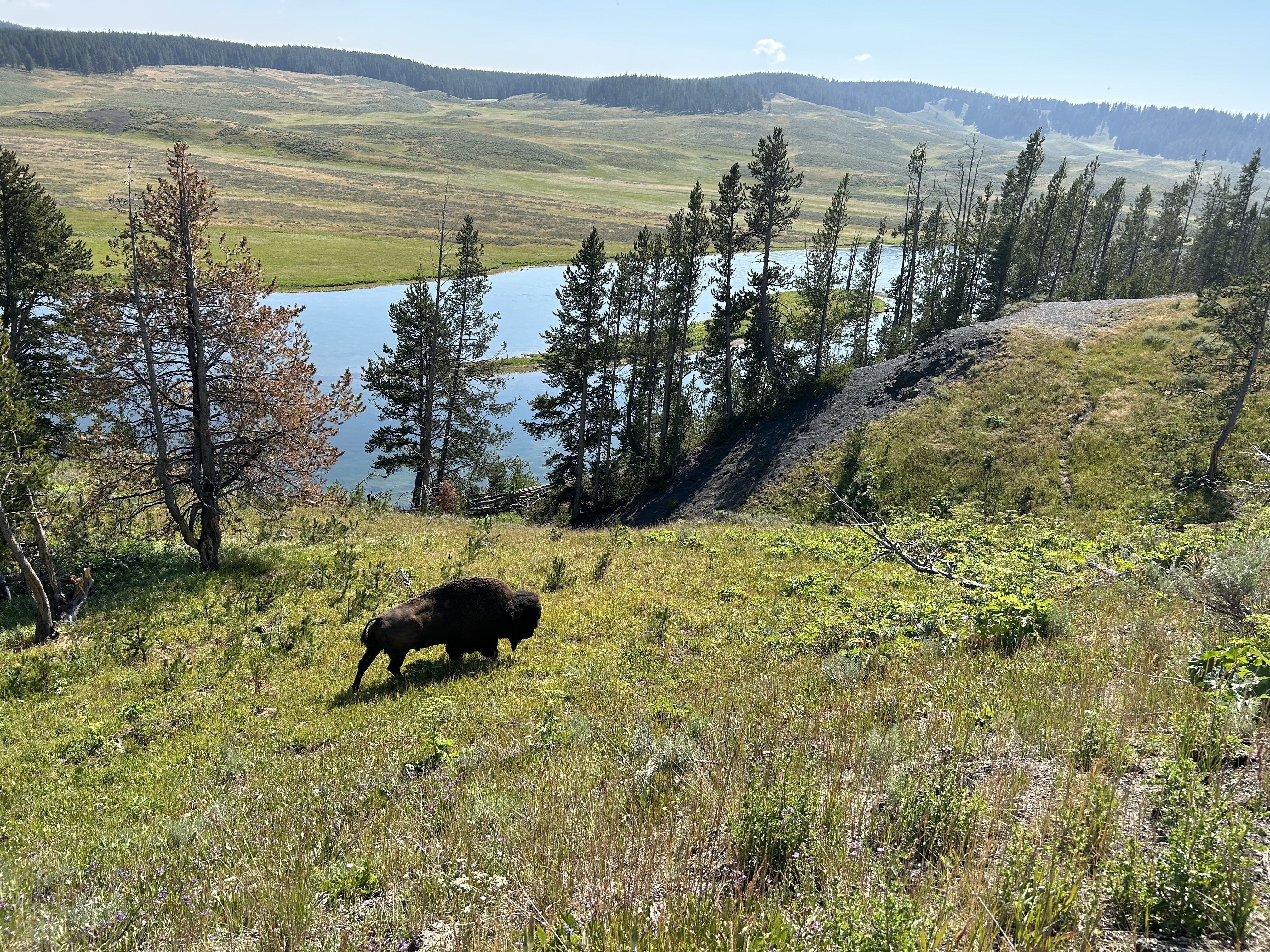 アメリカ】そこには、私の知らない地球があった〜イエローストーン国立