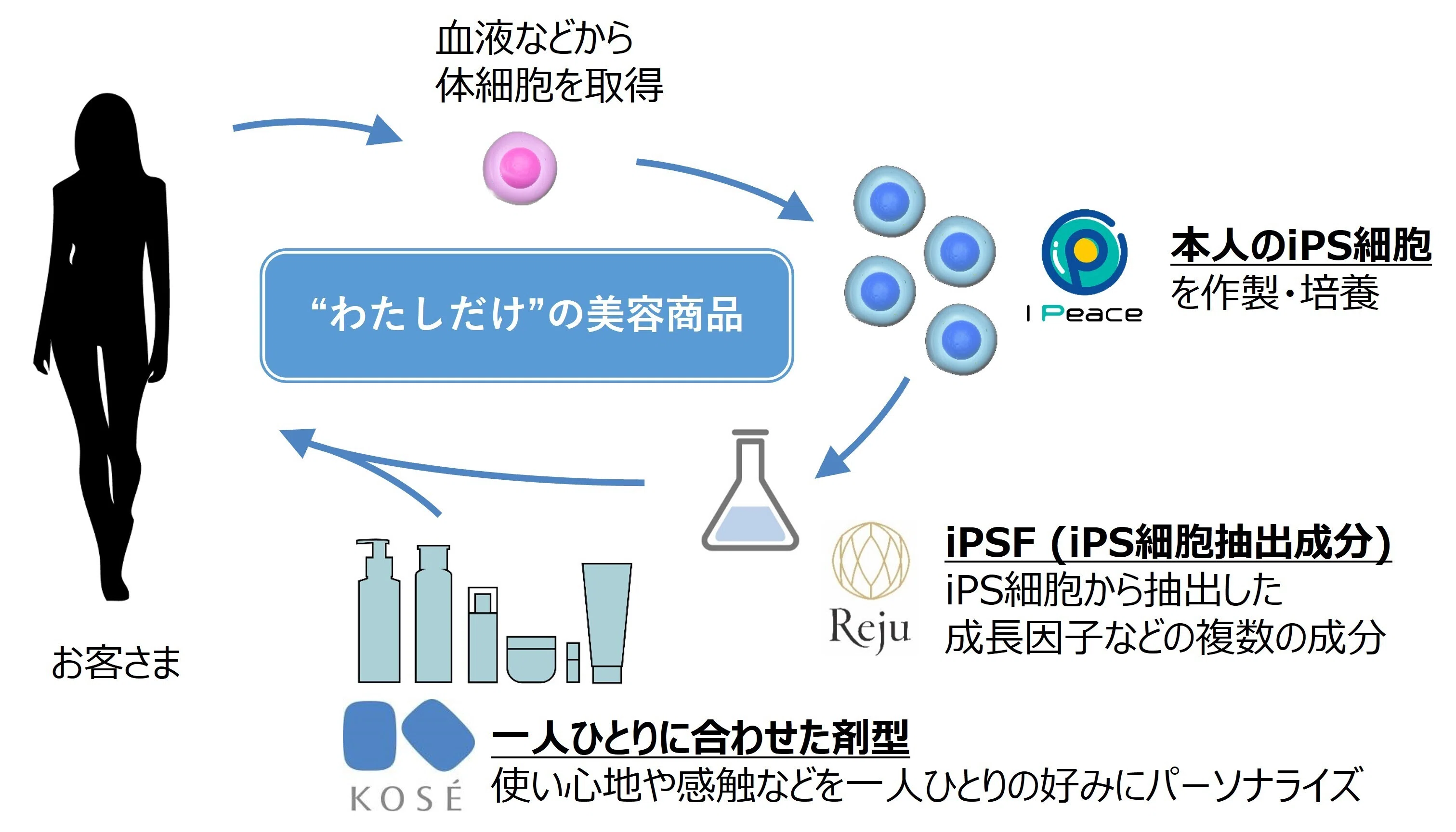 コーセーなど3社が顧客自身のiPS細胞を用いた超パーソナライズ美容商品