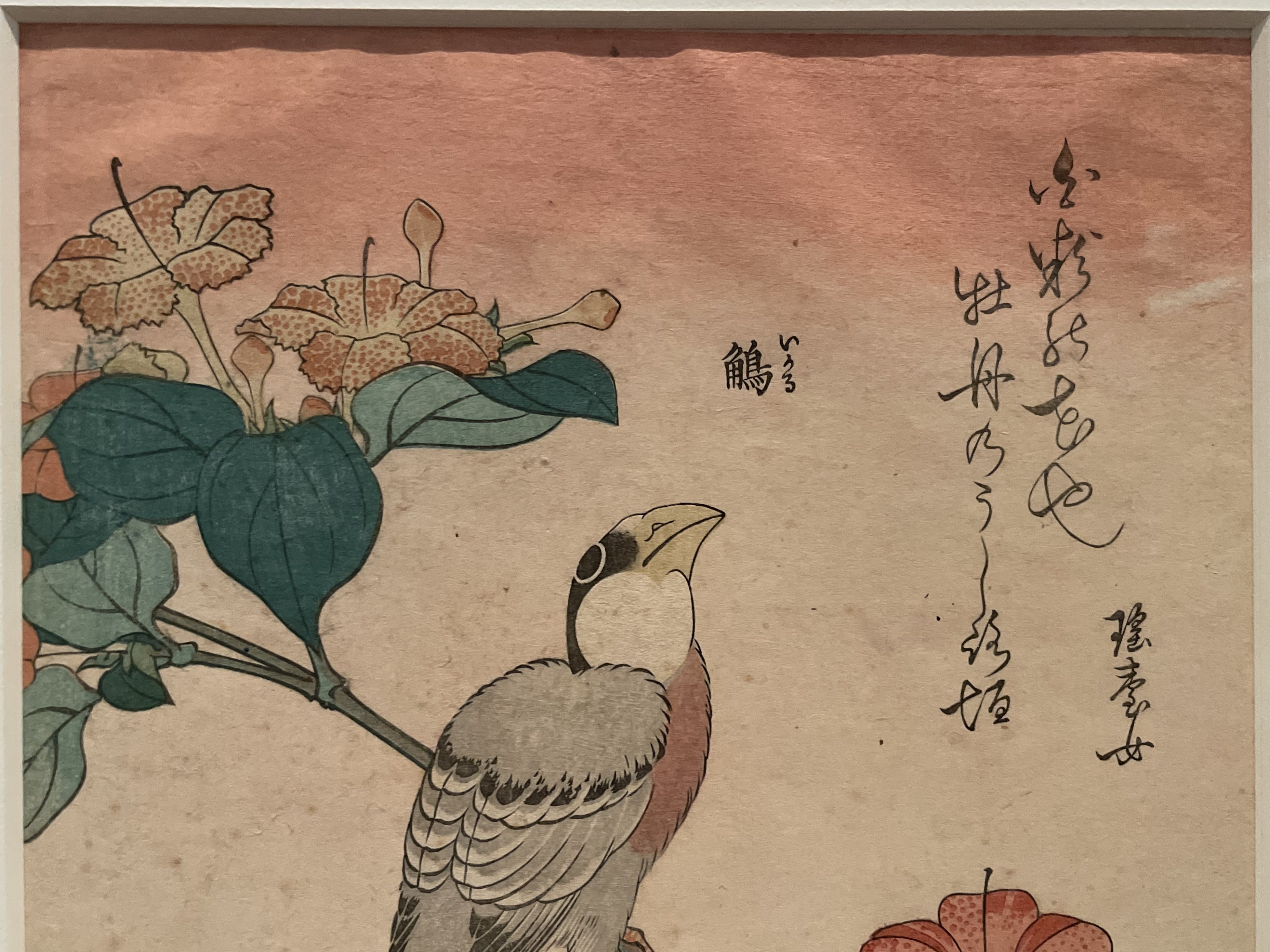 浮世絵 花 北斎 コピー 4枚もの 水彩画 絵画