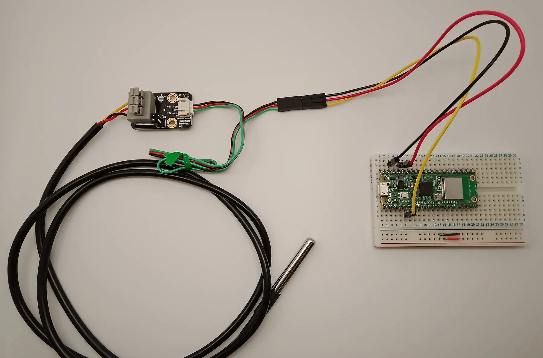 意外と簡単！ RaspberryPi Pico Wで防水型の温度センサを使おう【IoT