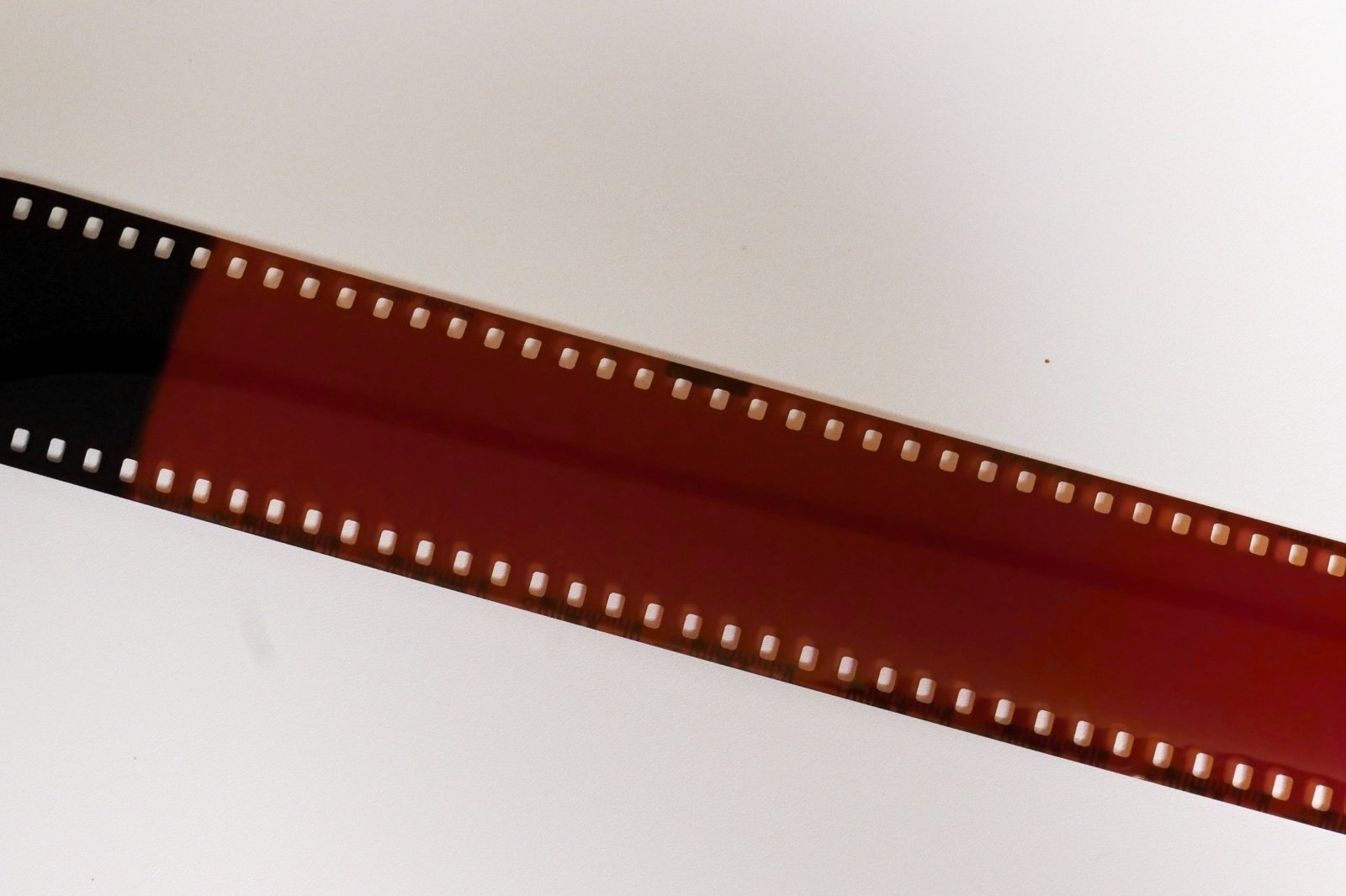9.フィルム装填を失敗していなかった話<反省>|神成 9.フィルム装填を失敗していなかった話<反省>|神成