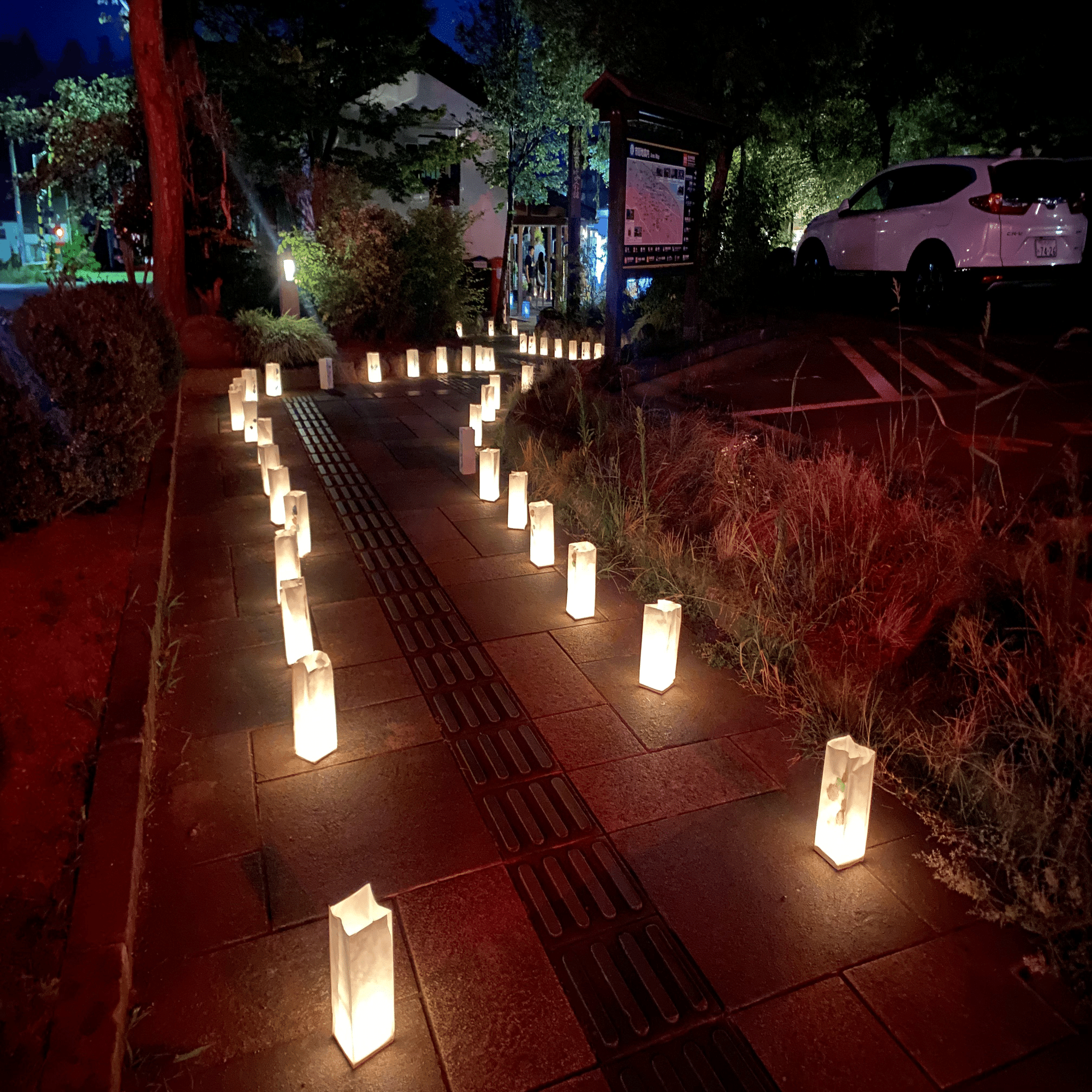 山燈篭　値下げしました いいやま灯篭まつり訪問記｜鮫サメ子