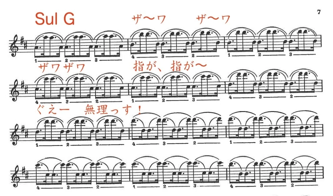 バイオリンと解剖学（重要練習の奥の院）｜Ralatalk