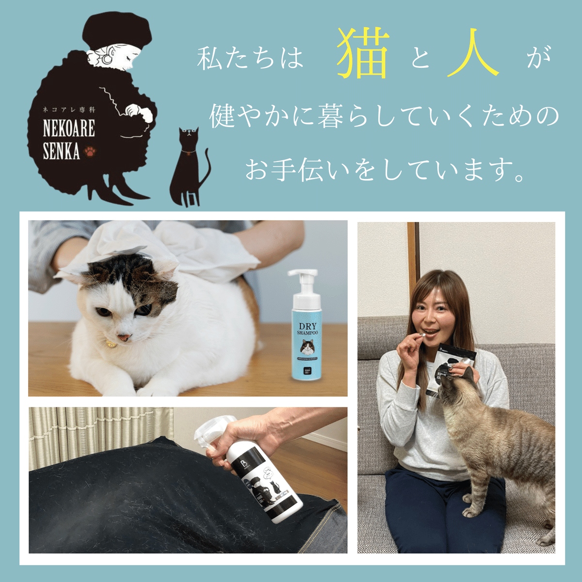 猫アレルギー氏 siberian-cat-1_ebf00069-482a-